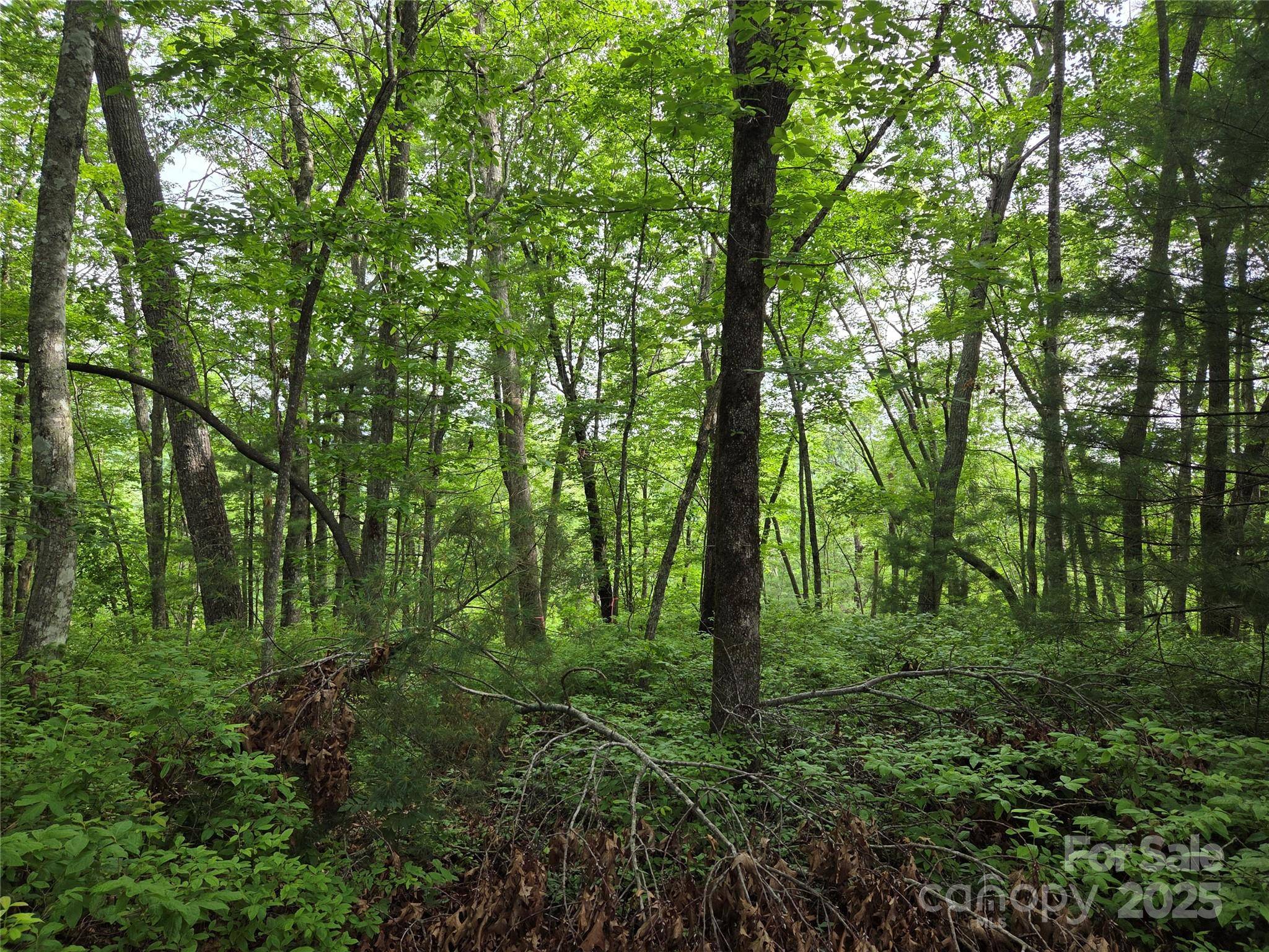 TBD Cedar LN, Brevard, NC 28712