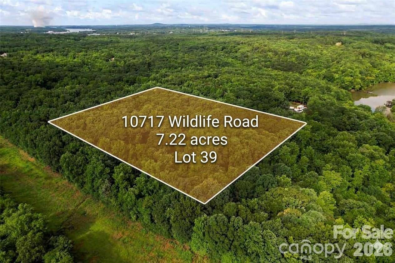 10717 Wildlife RD, Charlotte, NC 28278