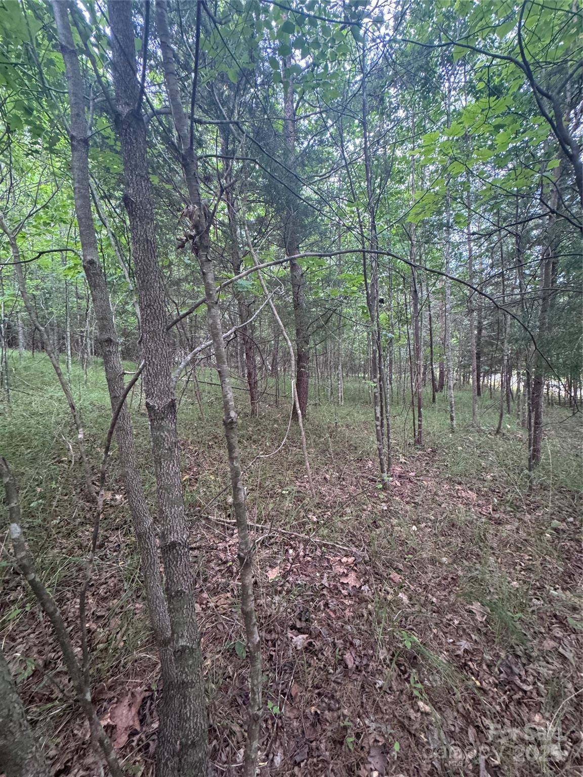 0 Cross Creek DR #67, Rutherfordton, NC 00000