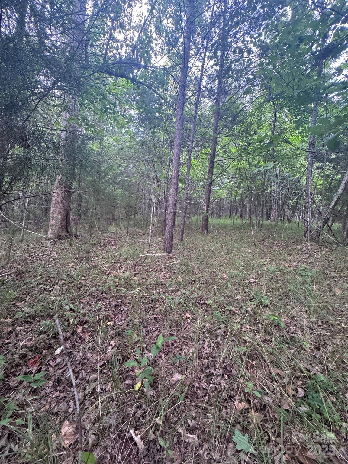 0 Cross Creek DR #67, Rutherfordton, NC 00000