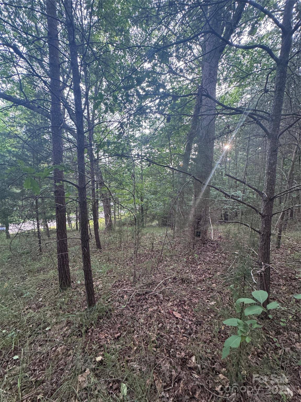 0 Cross Creek DR #67, Rutherfordton, NC 00000