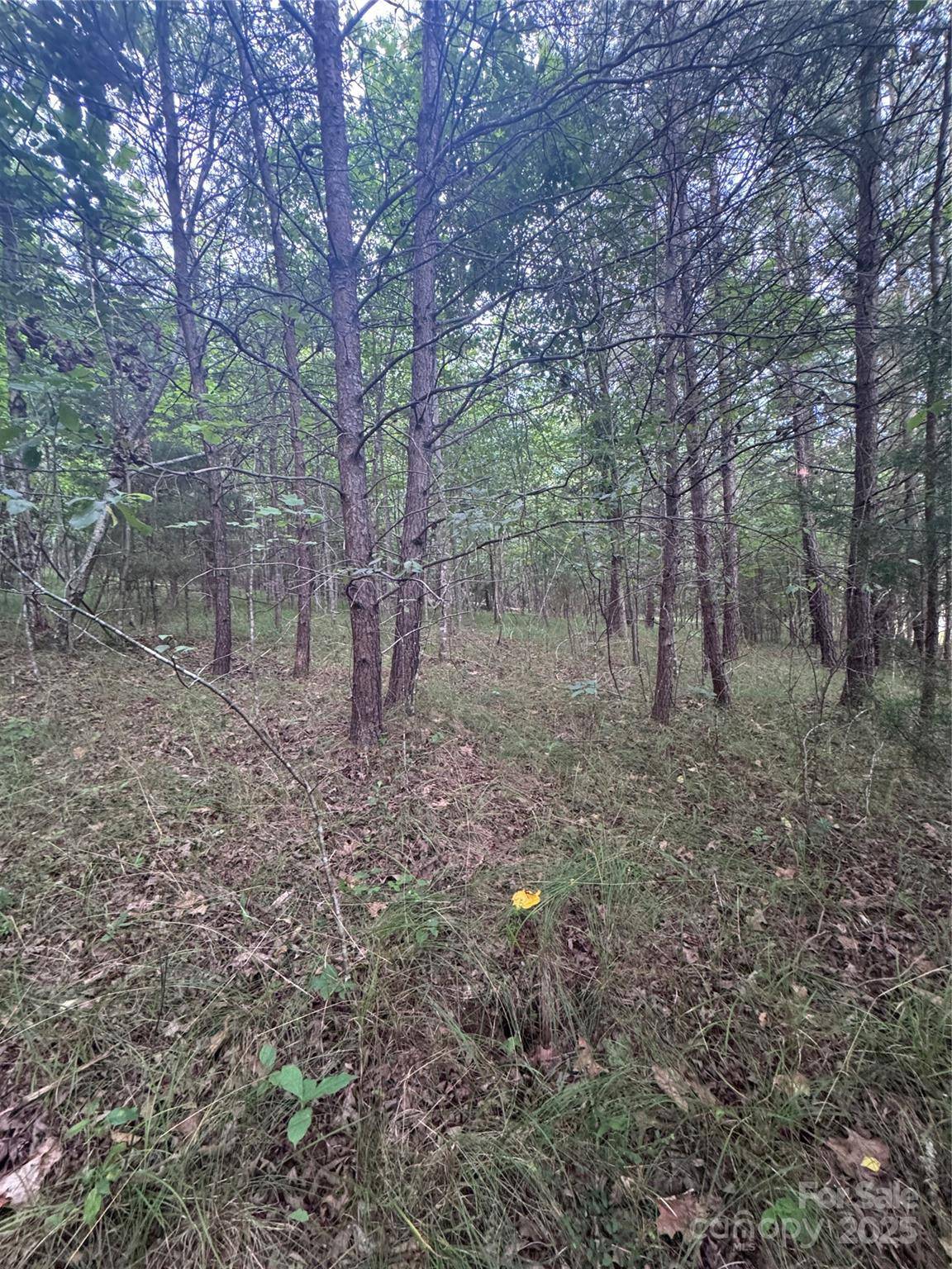 0 Cross Creek DR #67, Rutherfordton, NC 00000