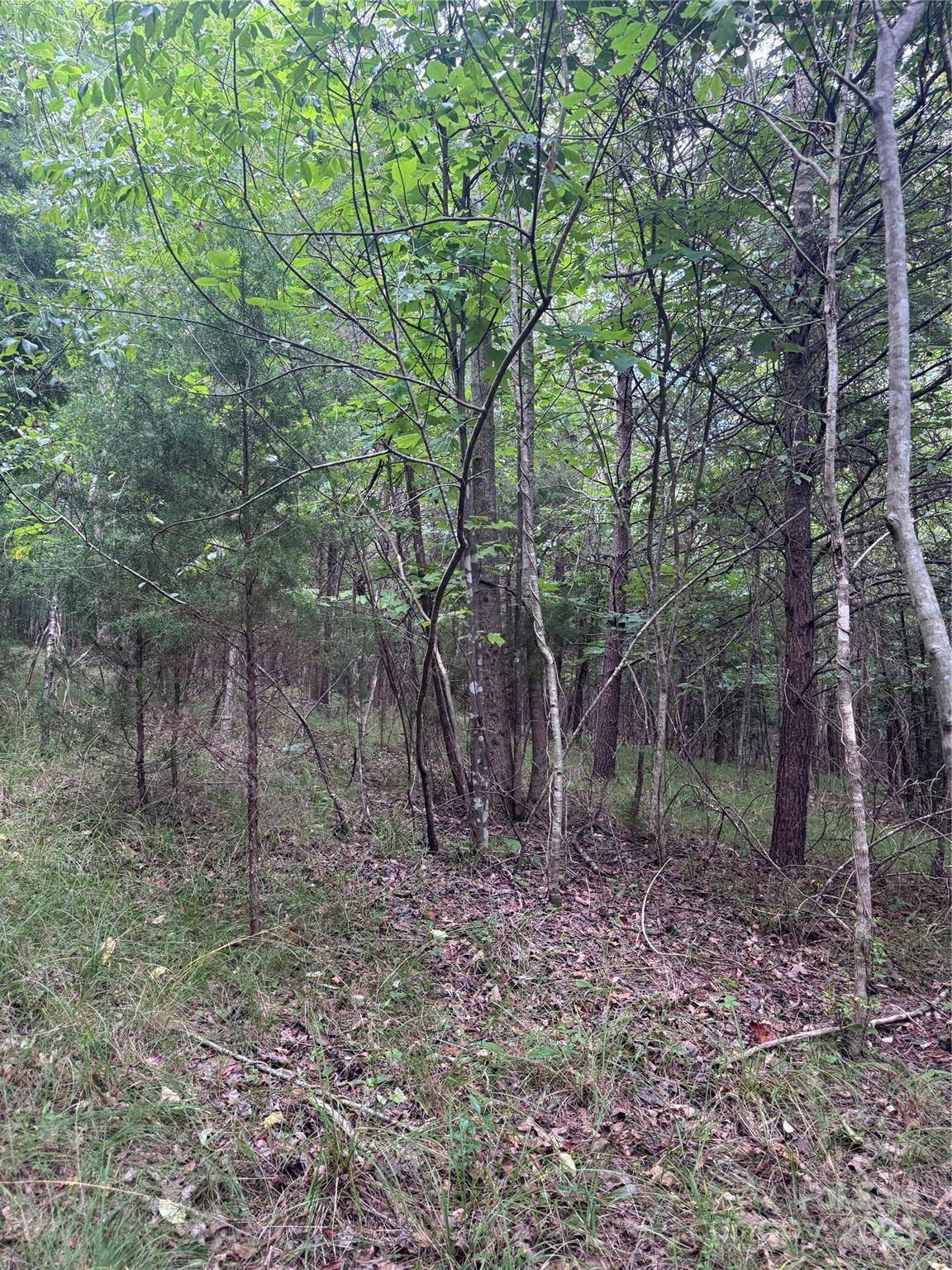 0 Cross Creek DR #67, Rutherfordton, NC 00000