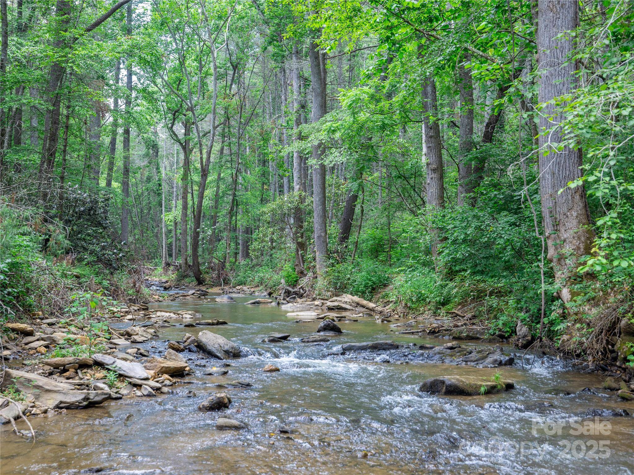 52 Trail Top DR, Asheville, NC 28805