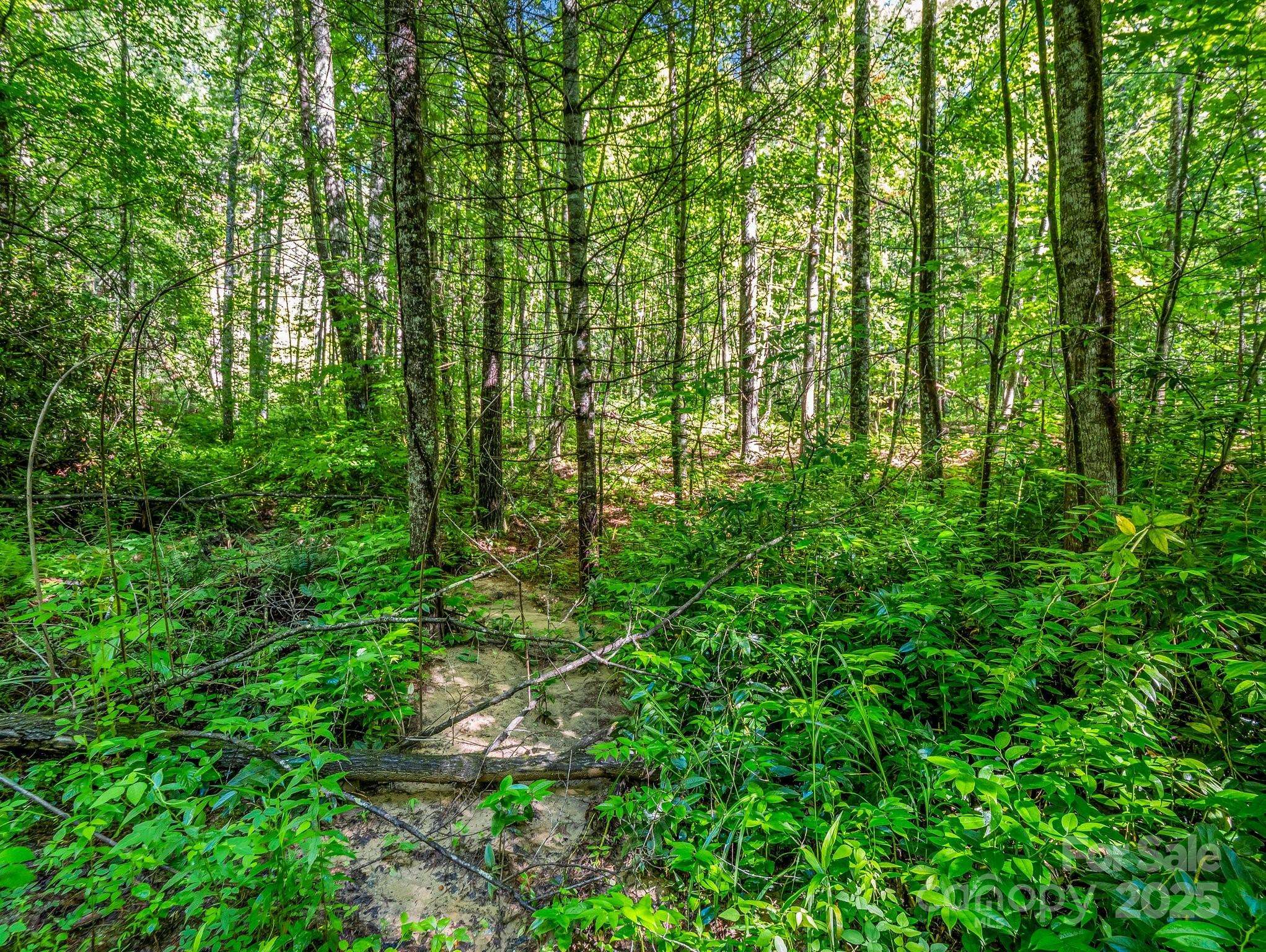 TBD Climbing RD, Hendersonville, NC 28792