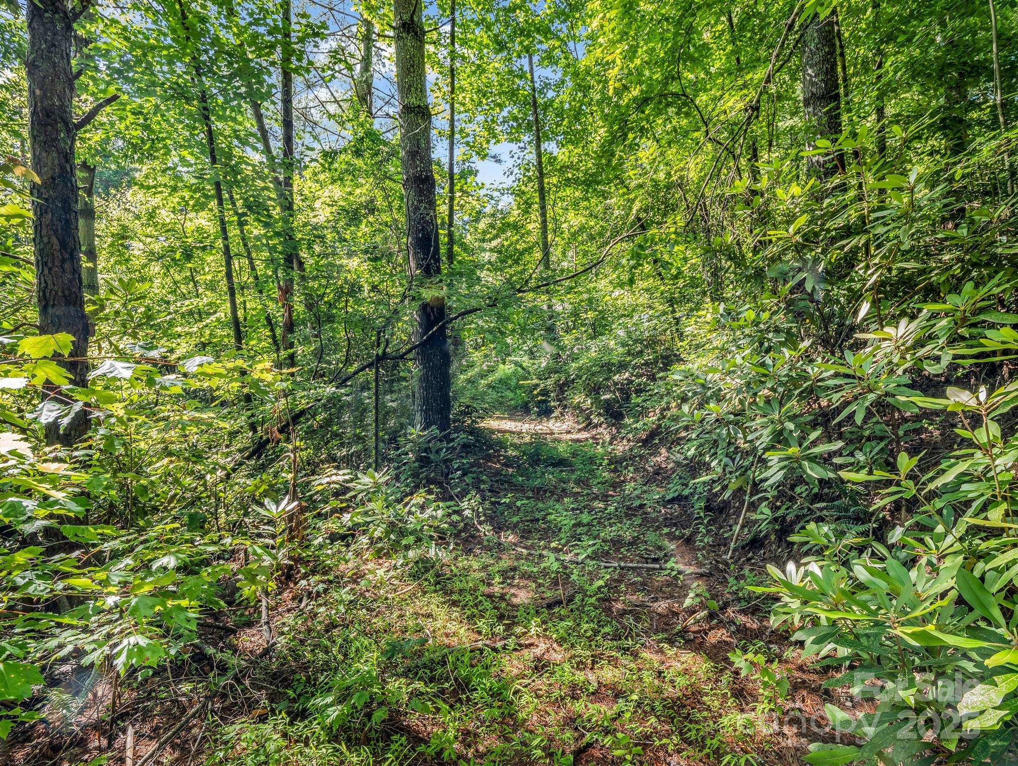 TBD Climbing RD, Hendersonville, NC 28792
