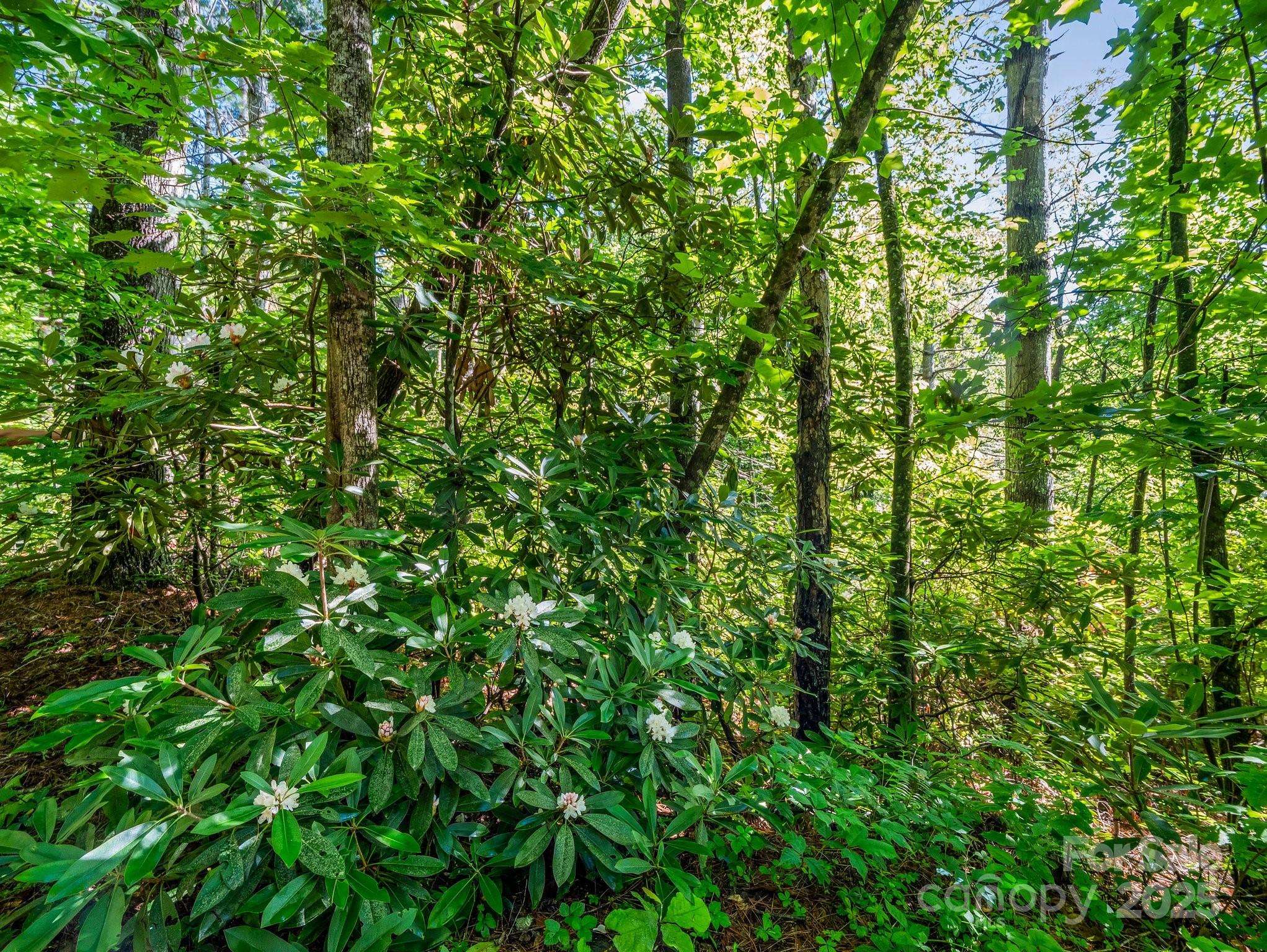 TBD Climbing RD, Hendersonville, NC 28792