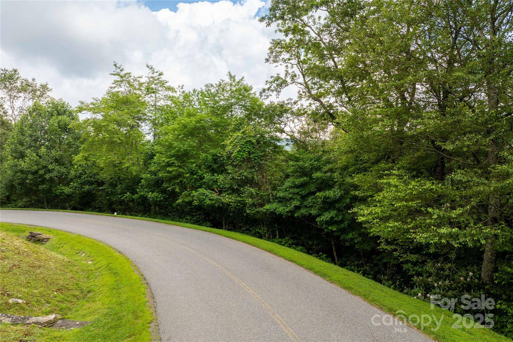 TBD Lot 215 Thunderhill TRL #215, Blowing Rock, NC 28605