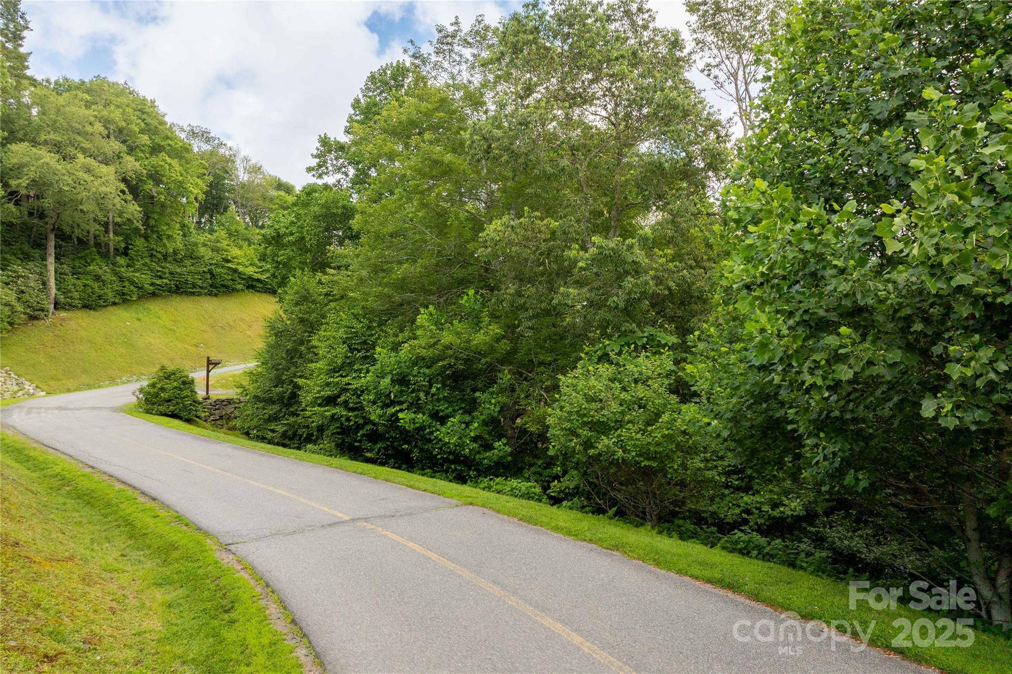 TBD Lot 217 Thunderhill TRL #217, Blowing Rock, NC 28605