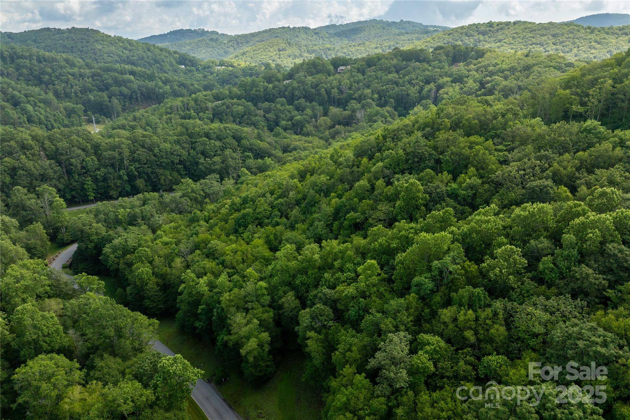 TBD Lot 106 Firethorn TRL #106, Blowing Rock, NC 28605