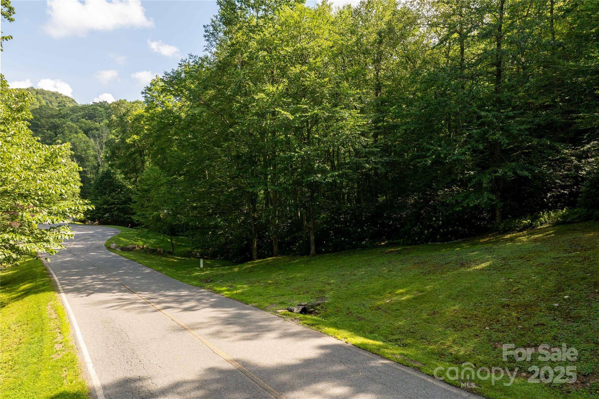 TBD Lot 106 Firethorn TRL #106, Blowing Rock, NC 28605