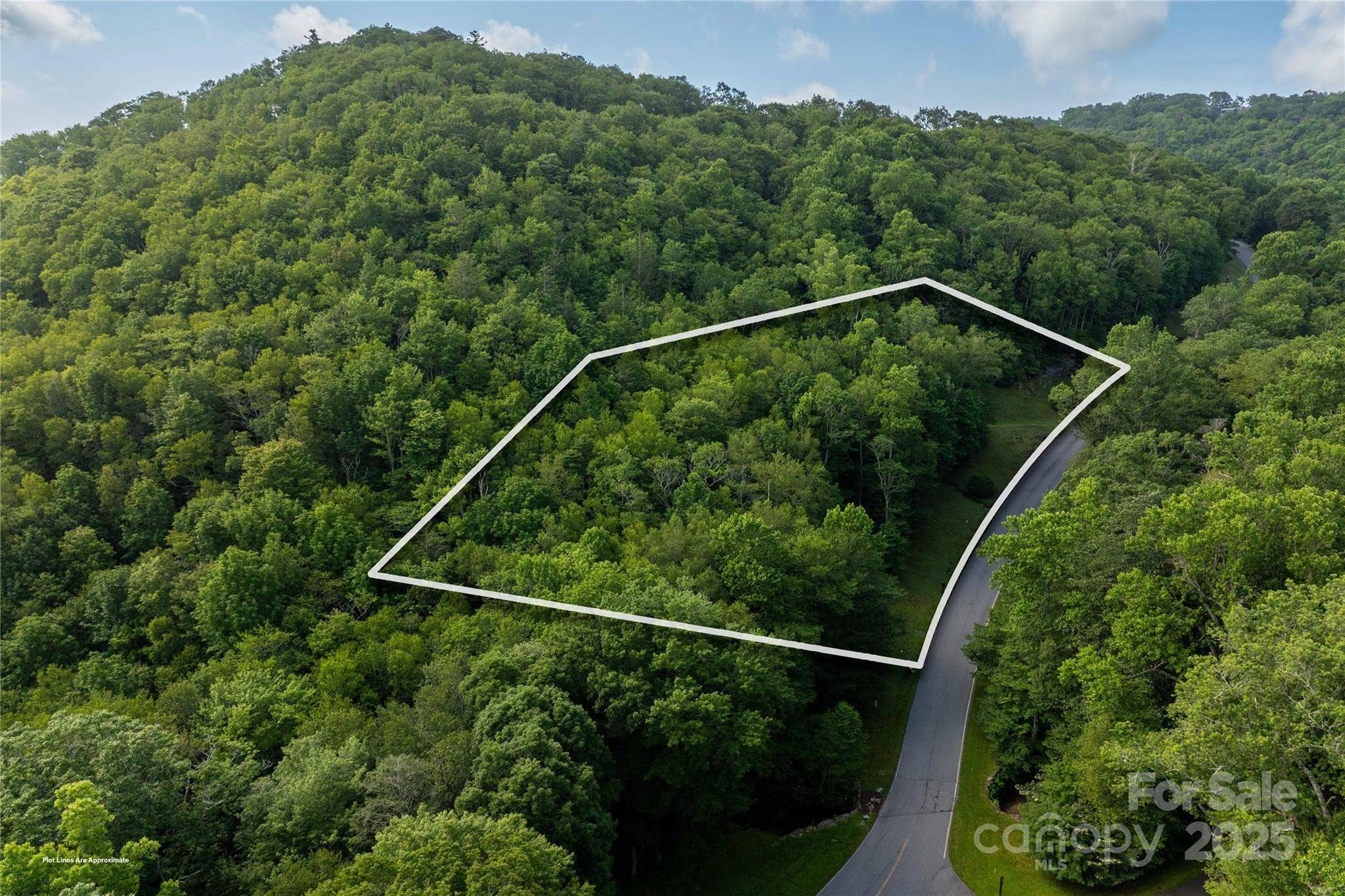 TBD Lot 106 Firethorn TRL #106, Blowing Rock, NC 28605