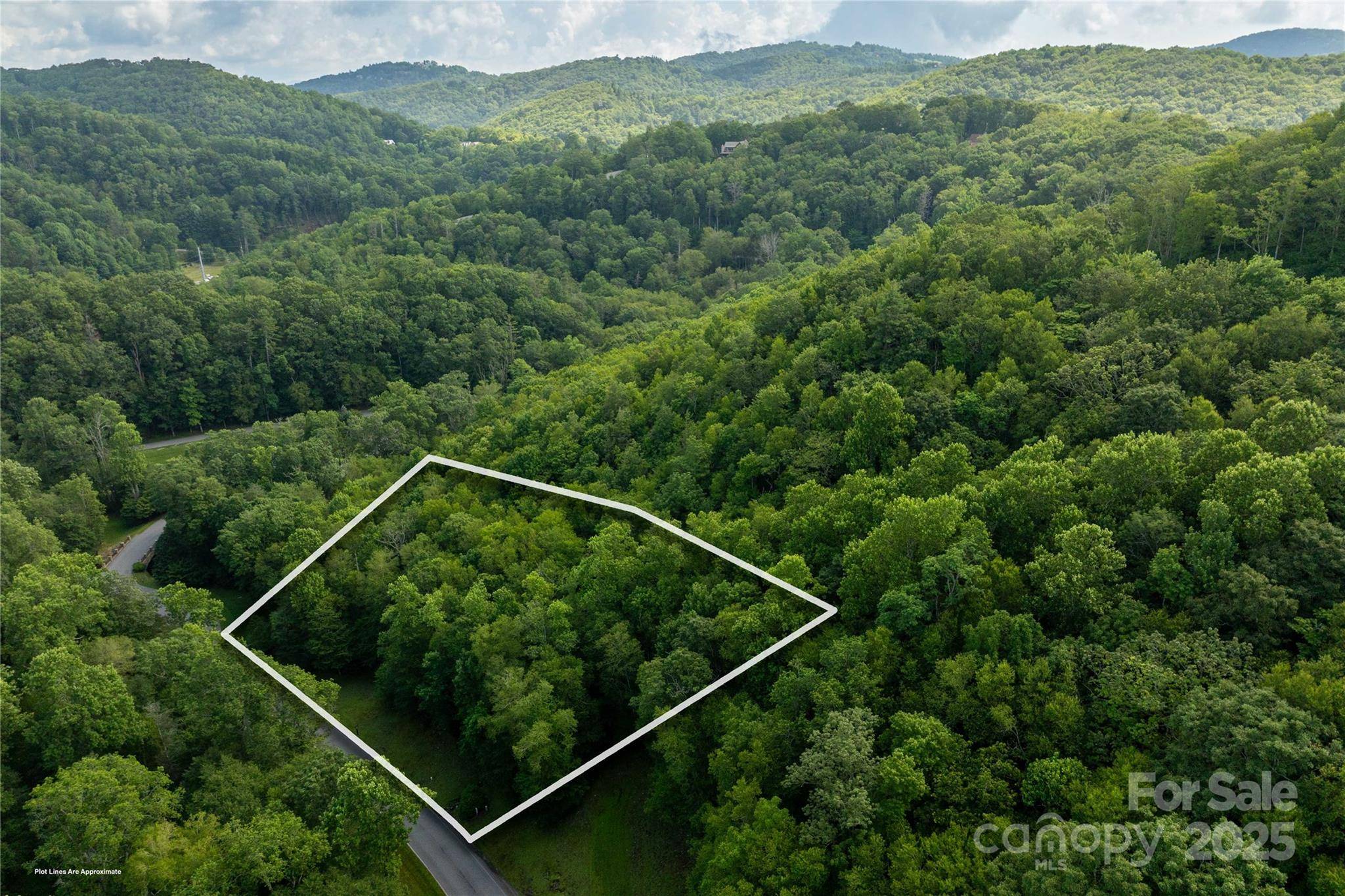 TBD Lot 106 Firethorn TRL #106, Blowing Rock, NC 28605