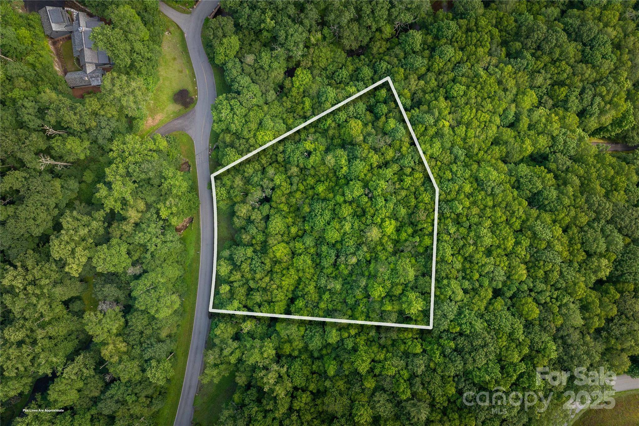TBD Lot 106 Firethorn TRL #106, Blowing Rock, NC 28605