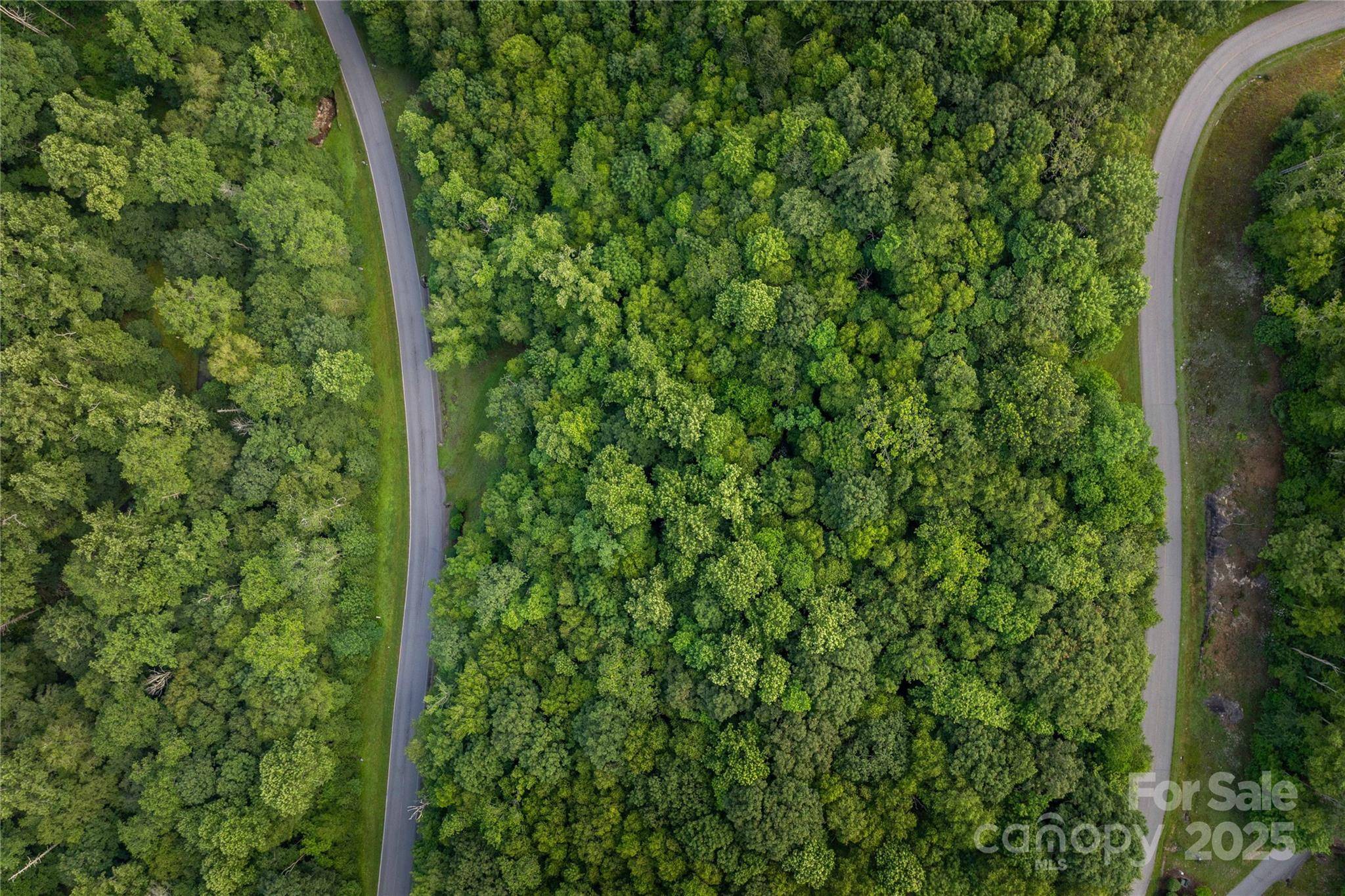 TBD Lot 107 Firethorn TRL #107, Blowing Rock, NC 28605