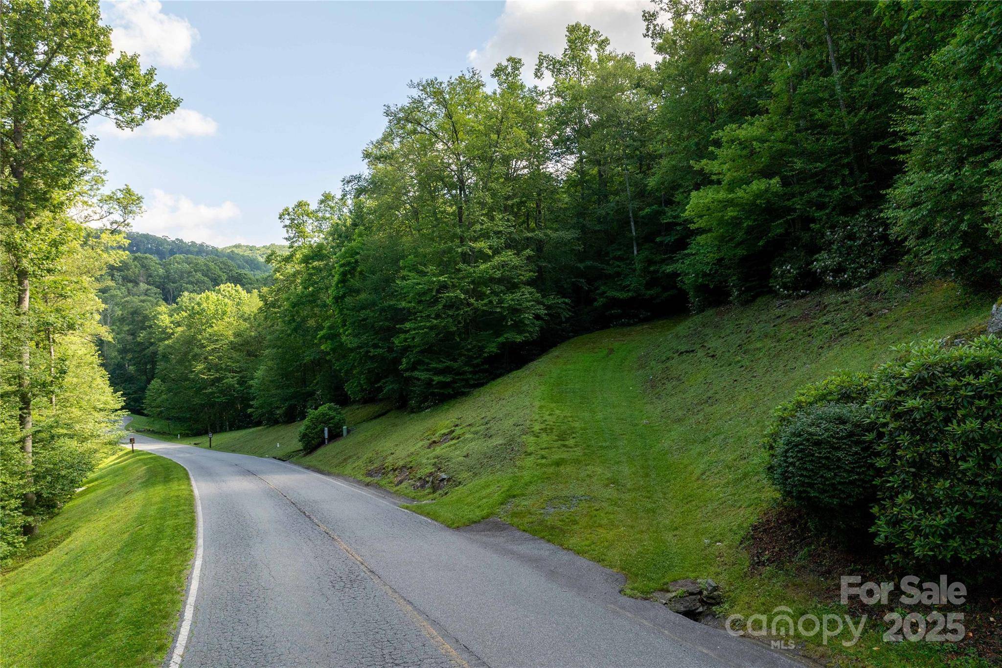 TBD Lot 107 Firethorn TRL #107, Blowing Rock, NC 28605