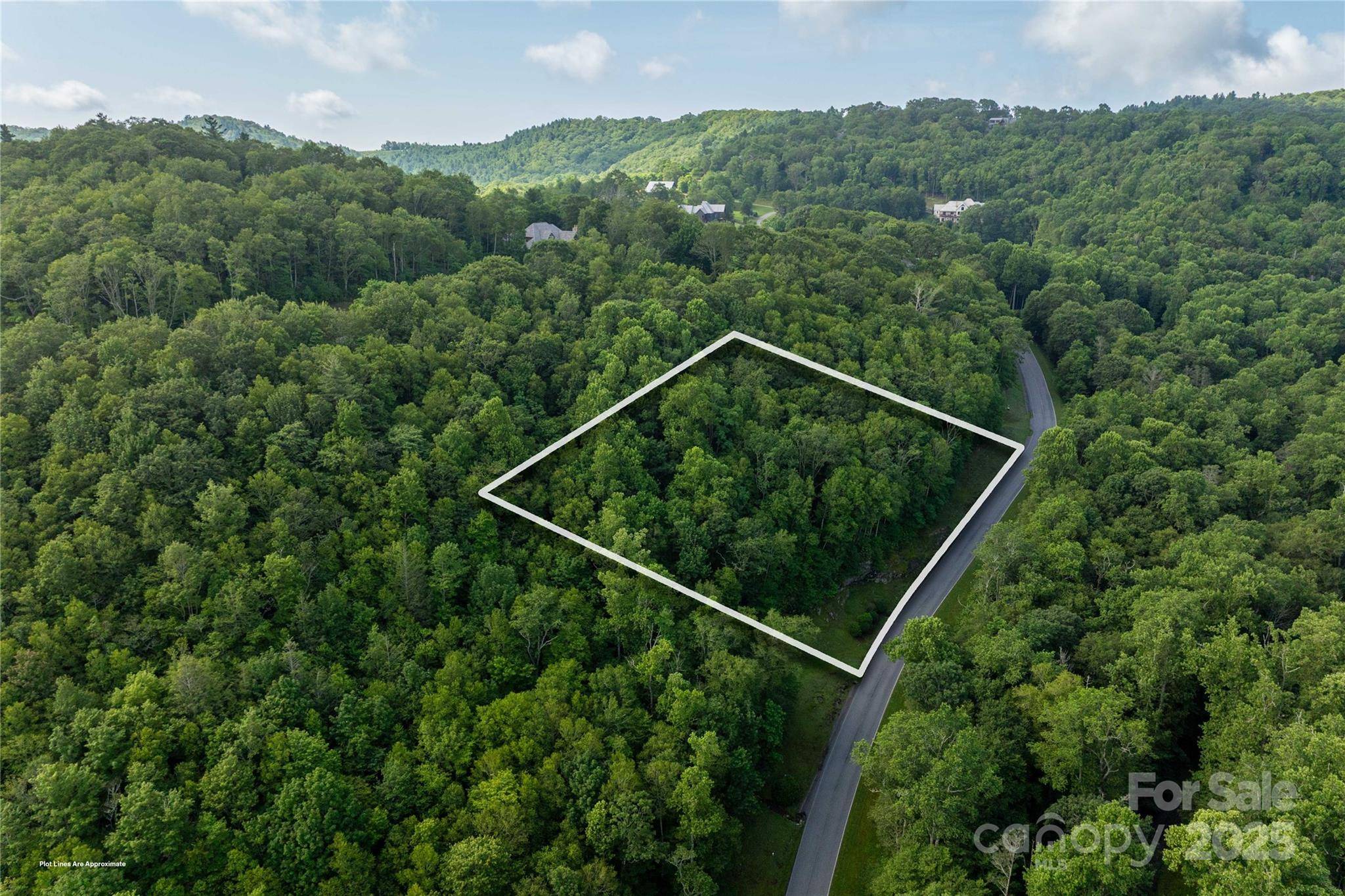 TBD Lot 107 Firethorn TRL #107, Blowing Rock, NC 28605