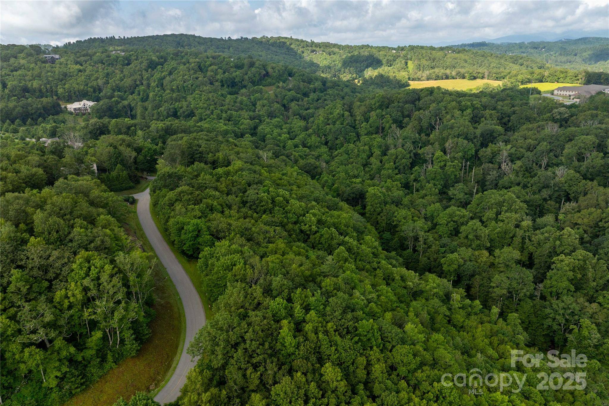 TBD Lot 121 Firethorn TRL #121, Blowing Rock, NC 28605