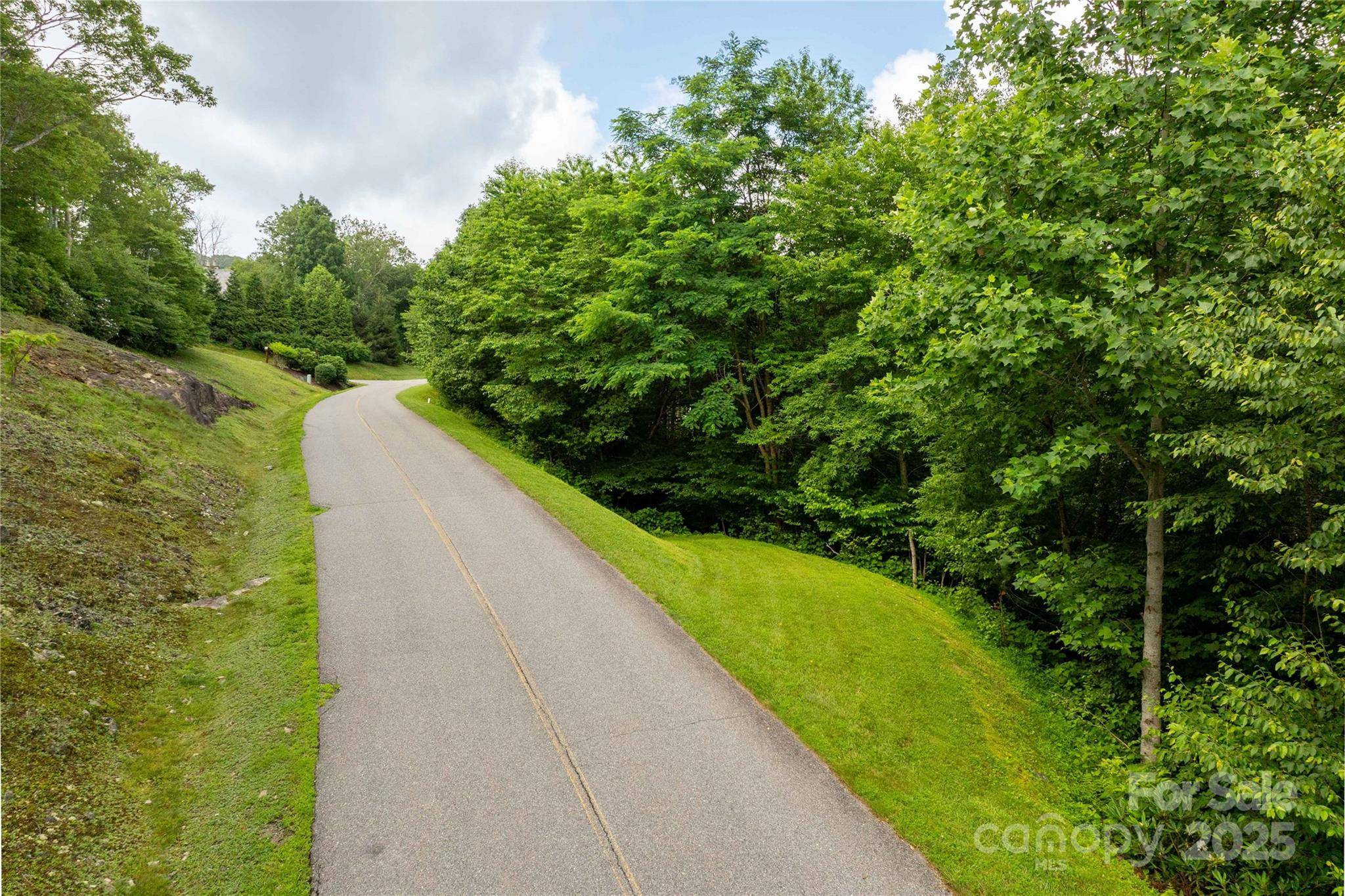 TBD Lot 121 Firethorn TRL #121, Blowing Rock, NC 28605