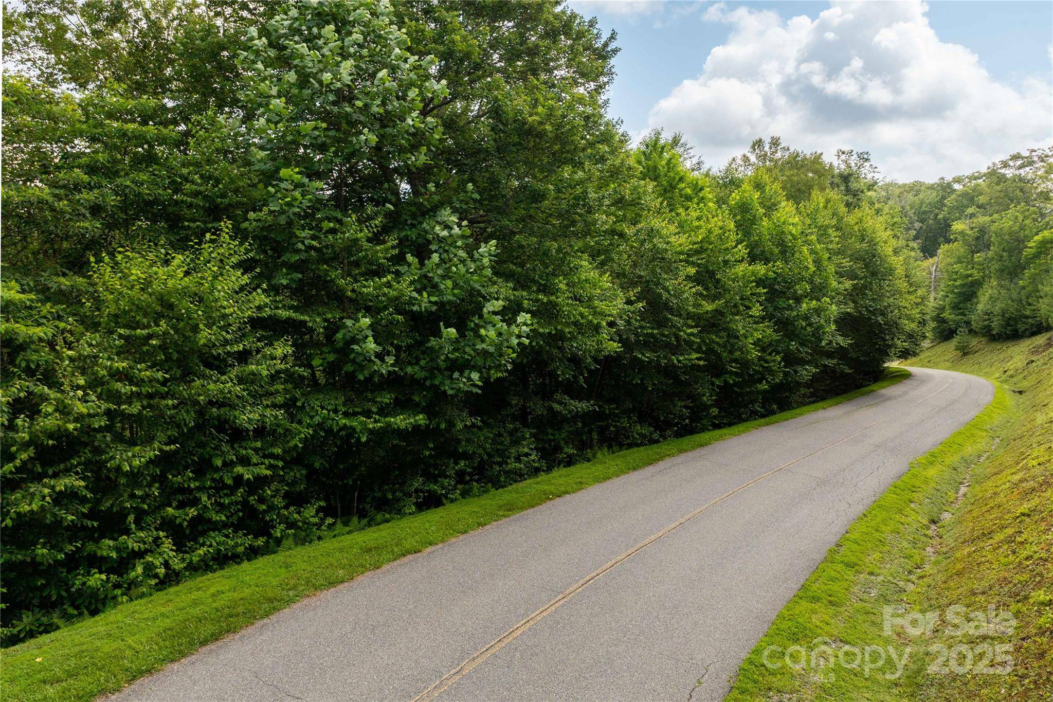 TBD Lot 121 Firethorn TRL #121, Blowing Rock, NC 28605