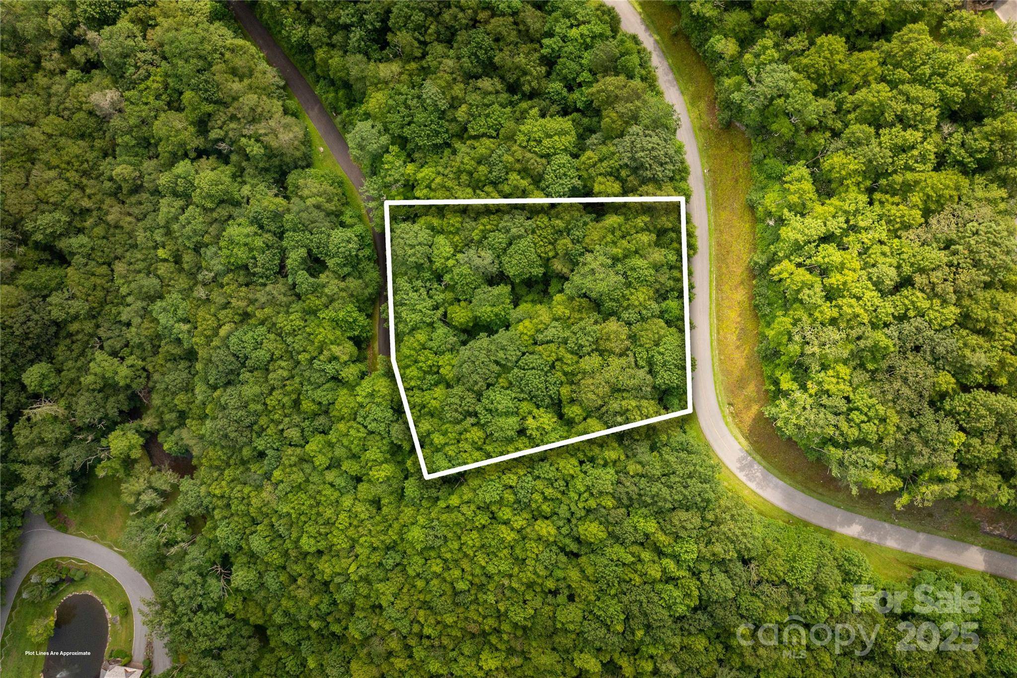 TBD Lot 123 Firethorn TRL #123, Blowing Rock, NC 28605