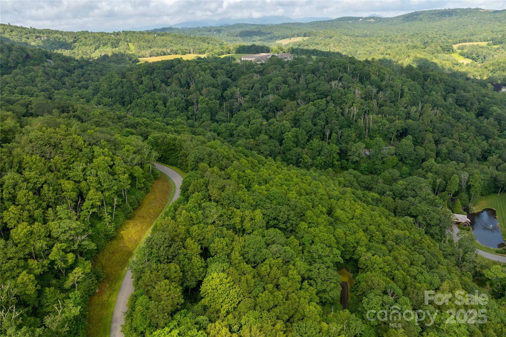 TBD Lot 123 Firethorn TRL #123, Blowing Rock, NC 28605