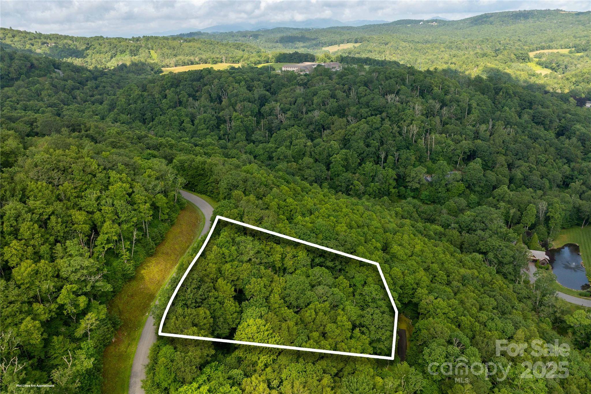 TBD Lot 123 Firethorn TRL #123, Blowing Rock, NC 28605