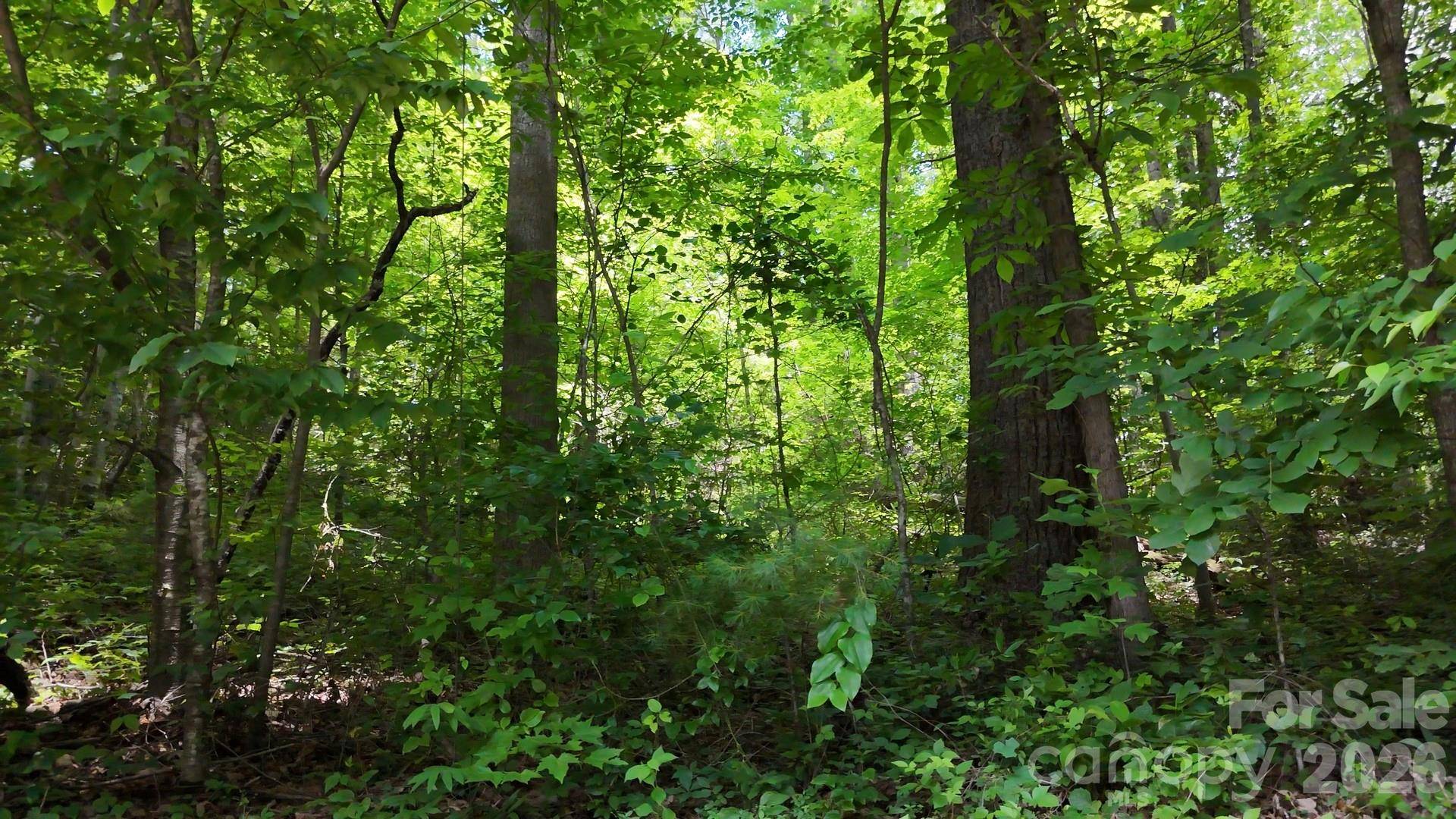 00 Serendipity LN #111, Waynesville, NC 28785