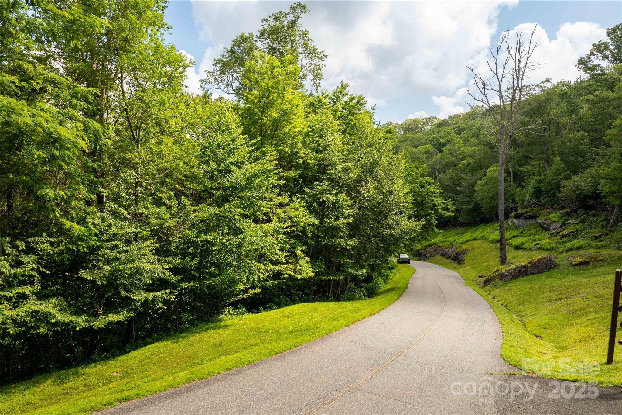 TBD Lot 124 Firethorn TRL #124, Blowing Rock, NC 28605