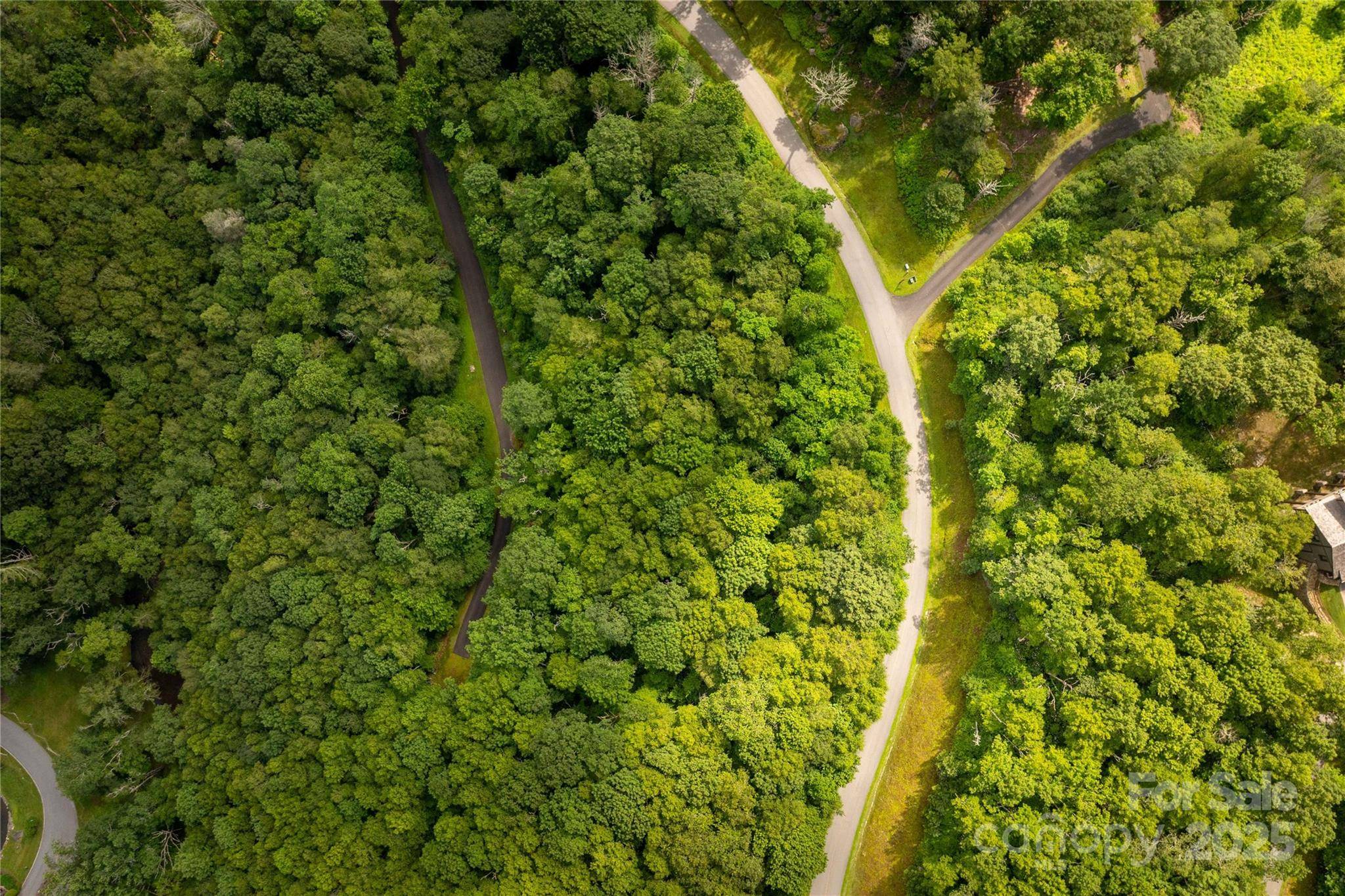 TBD Lot 124 Firethorn TRL #124, Blowing Rock, NC 28605