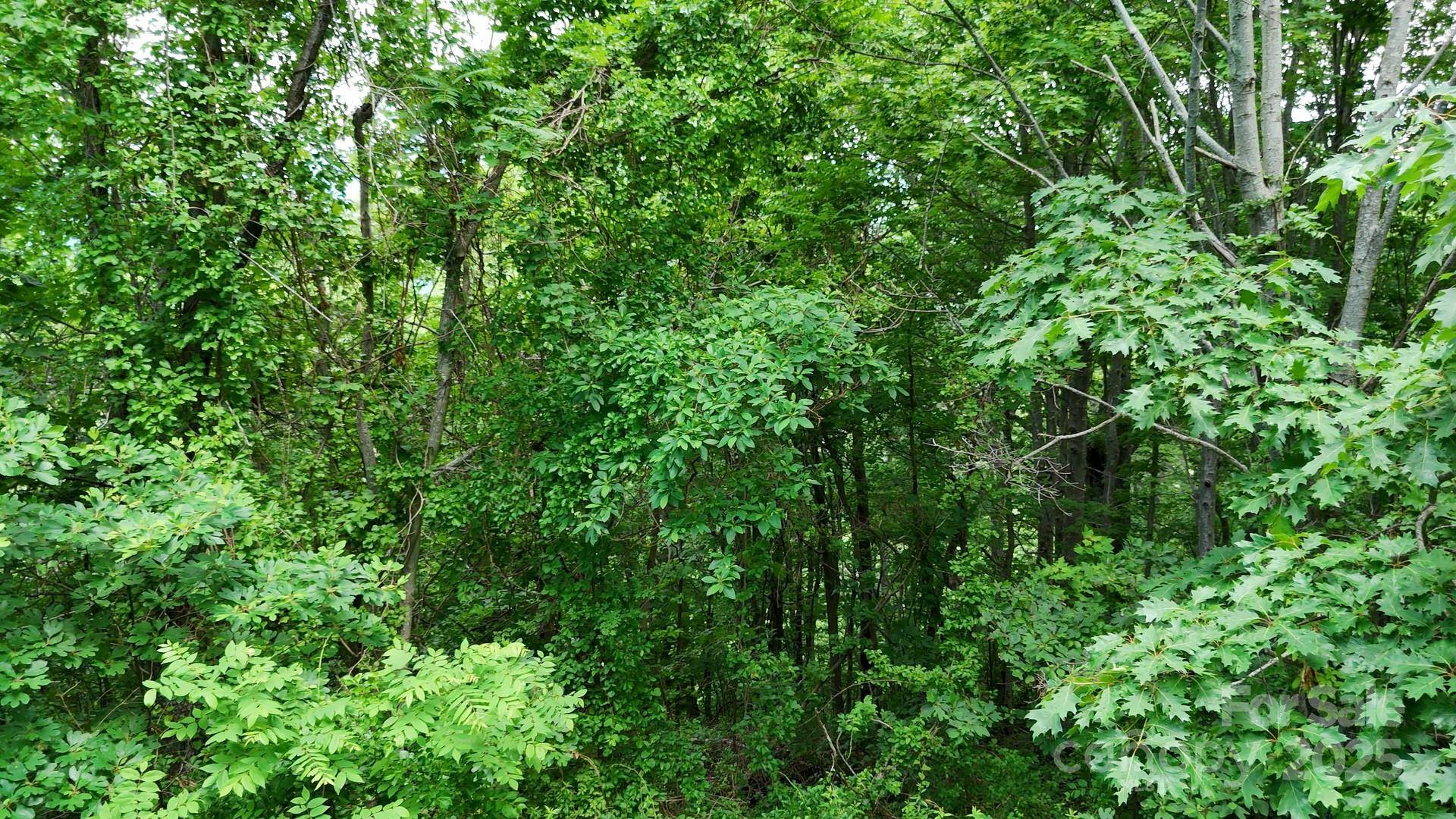 00 Liner Cove RD #1, Waynesville, NC 28786