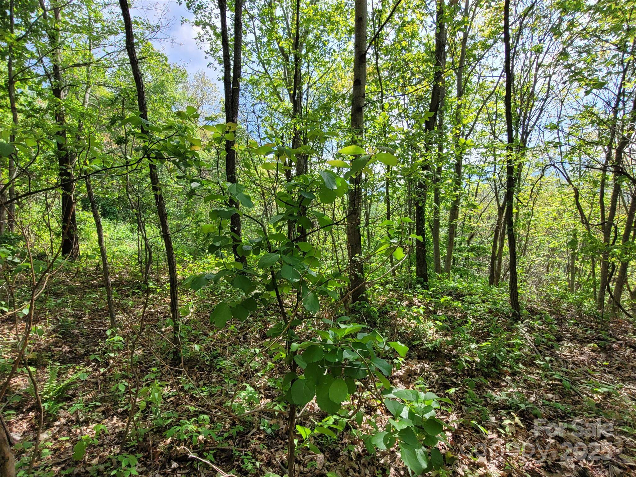 00 Liner Cove RD #1, Waynesville, NC 28786