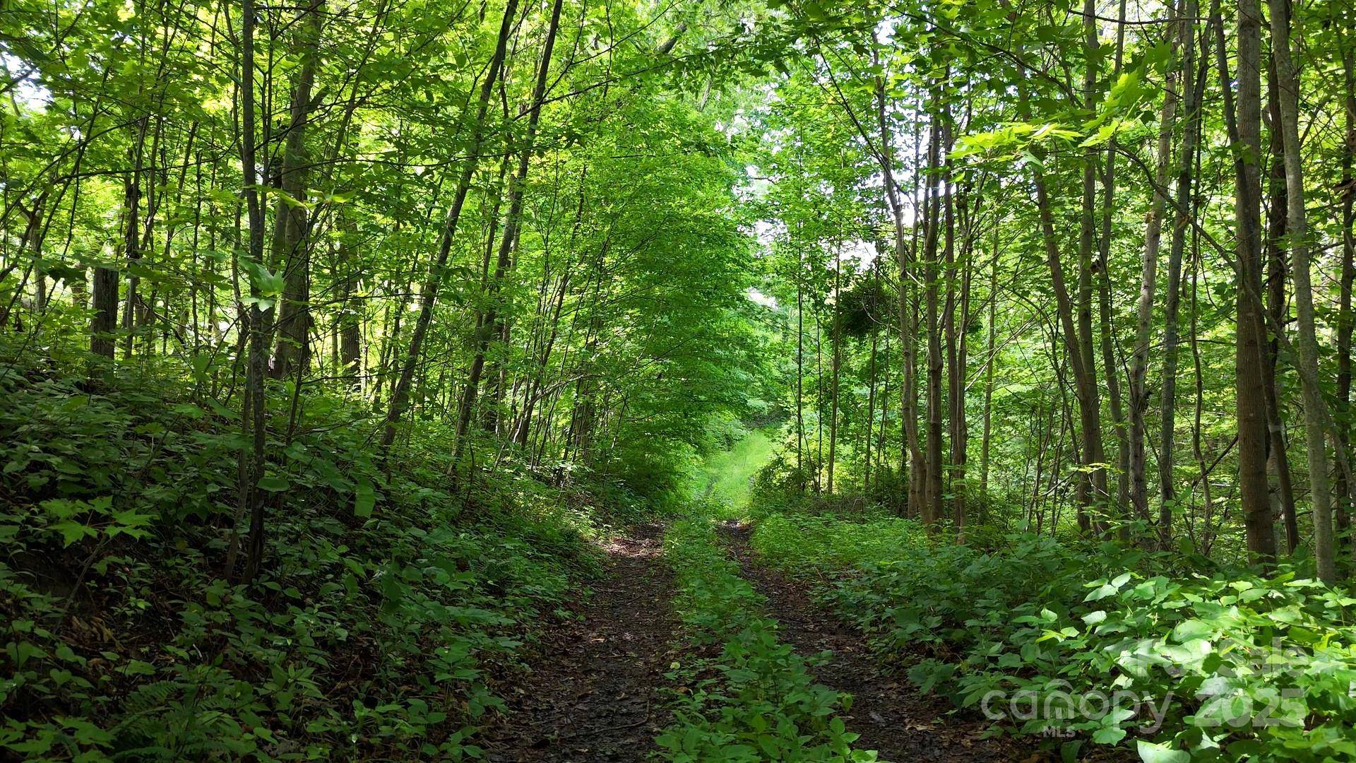 00 Liner Cove RD #2, Waynesville, NC 28786