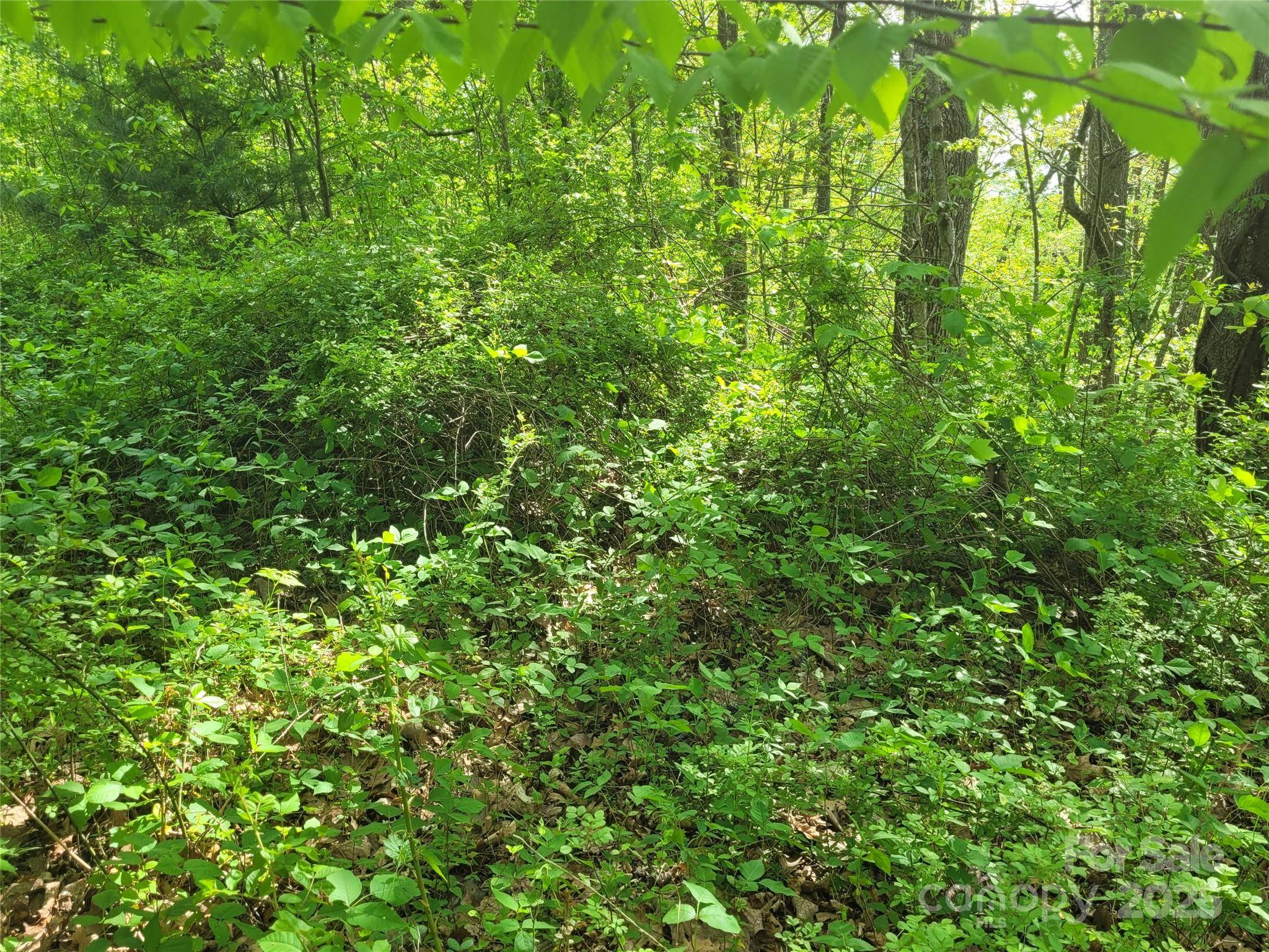 00 Liner Cove RD #2, Waynesville, NC 28786