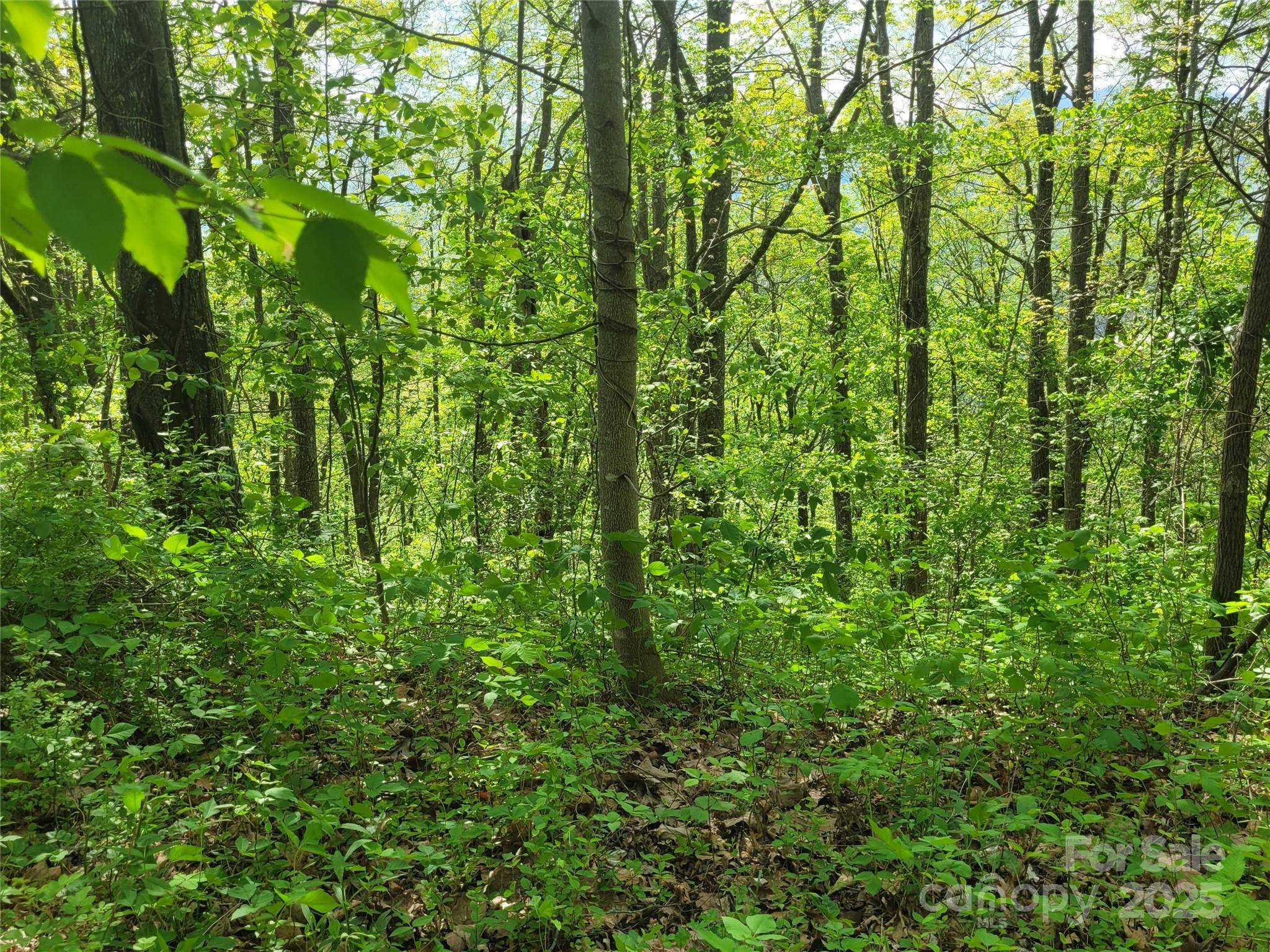 00 Liner Cove RD #2, Waynesville, NC 28786