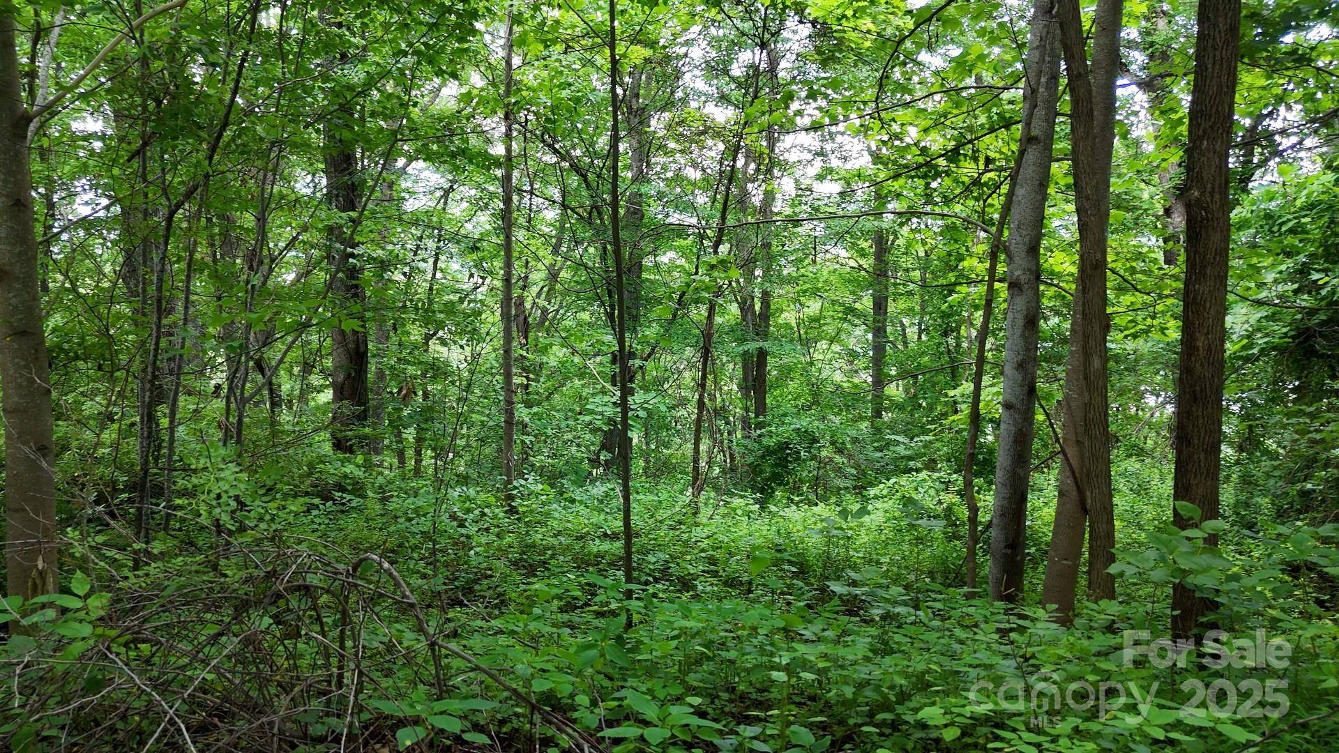 00 Liner Cove RD #2, Waynesville, NC 28786