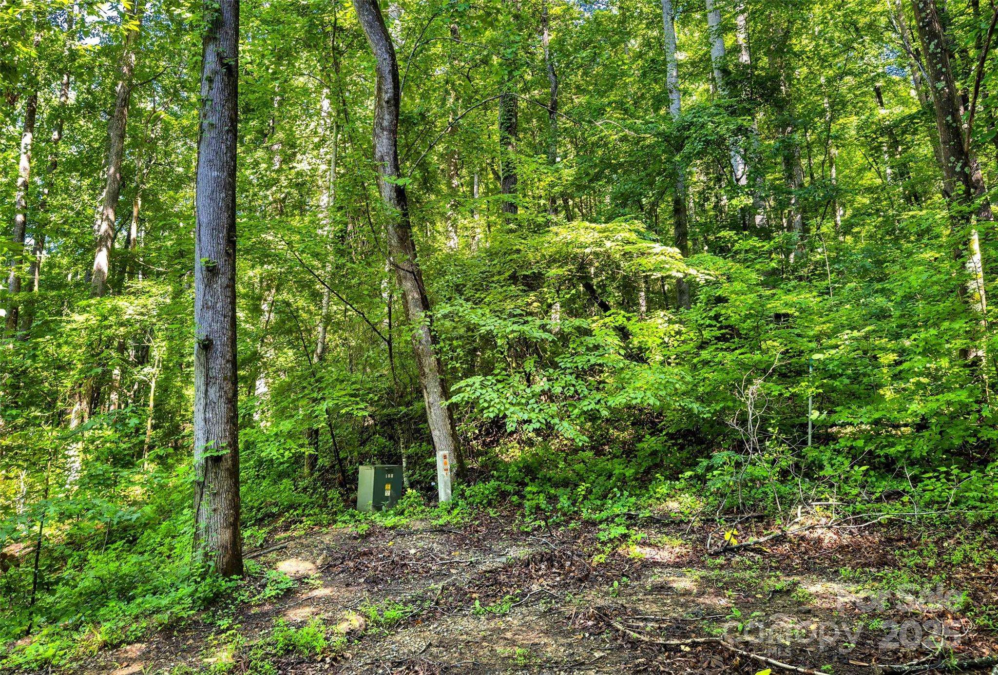 Lot # 77 Hunnicut Spur RD, Marion, NC 28752