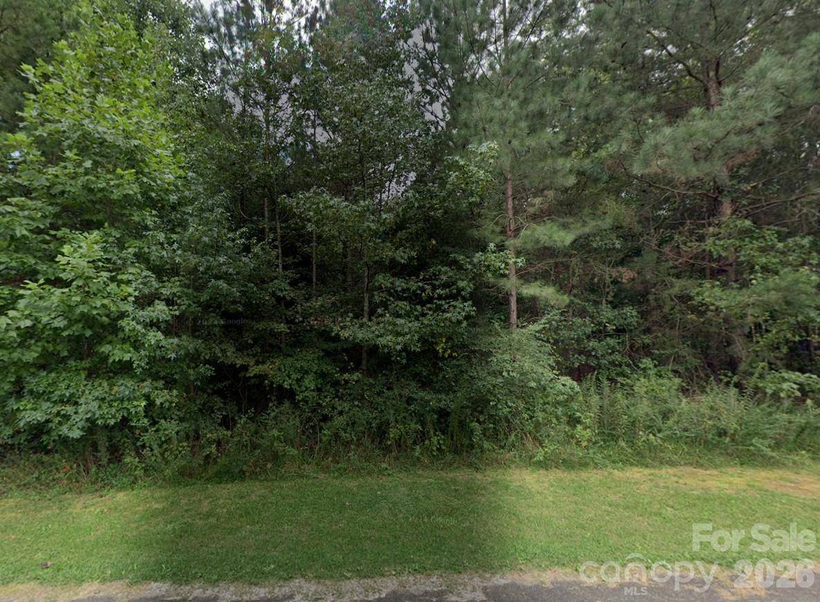 00 #24 Majestic Pine DR #24, Vale, NC 28168