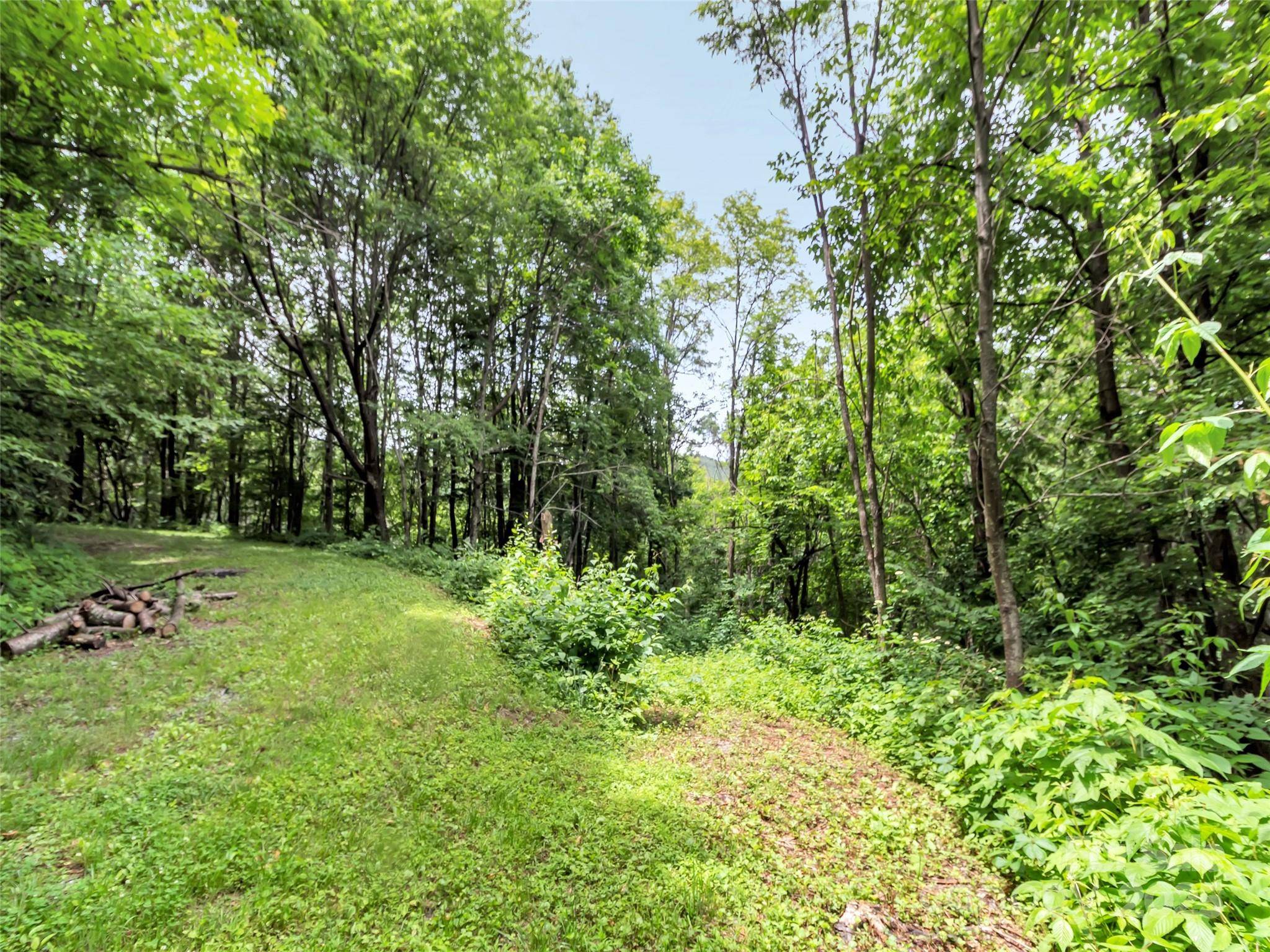 32 Sallywood TRL, Waynesville, NC 28785