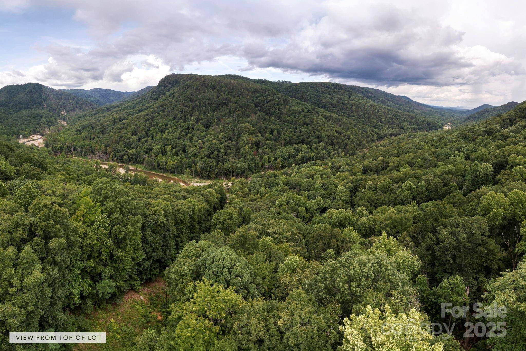 000 Green River Cove RD, Saluda, NC 28773