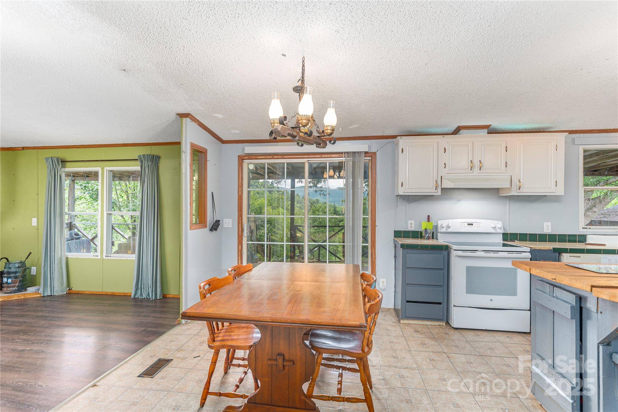 495 Courtney LN, Canton, NC 28716