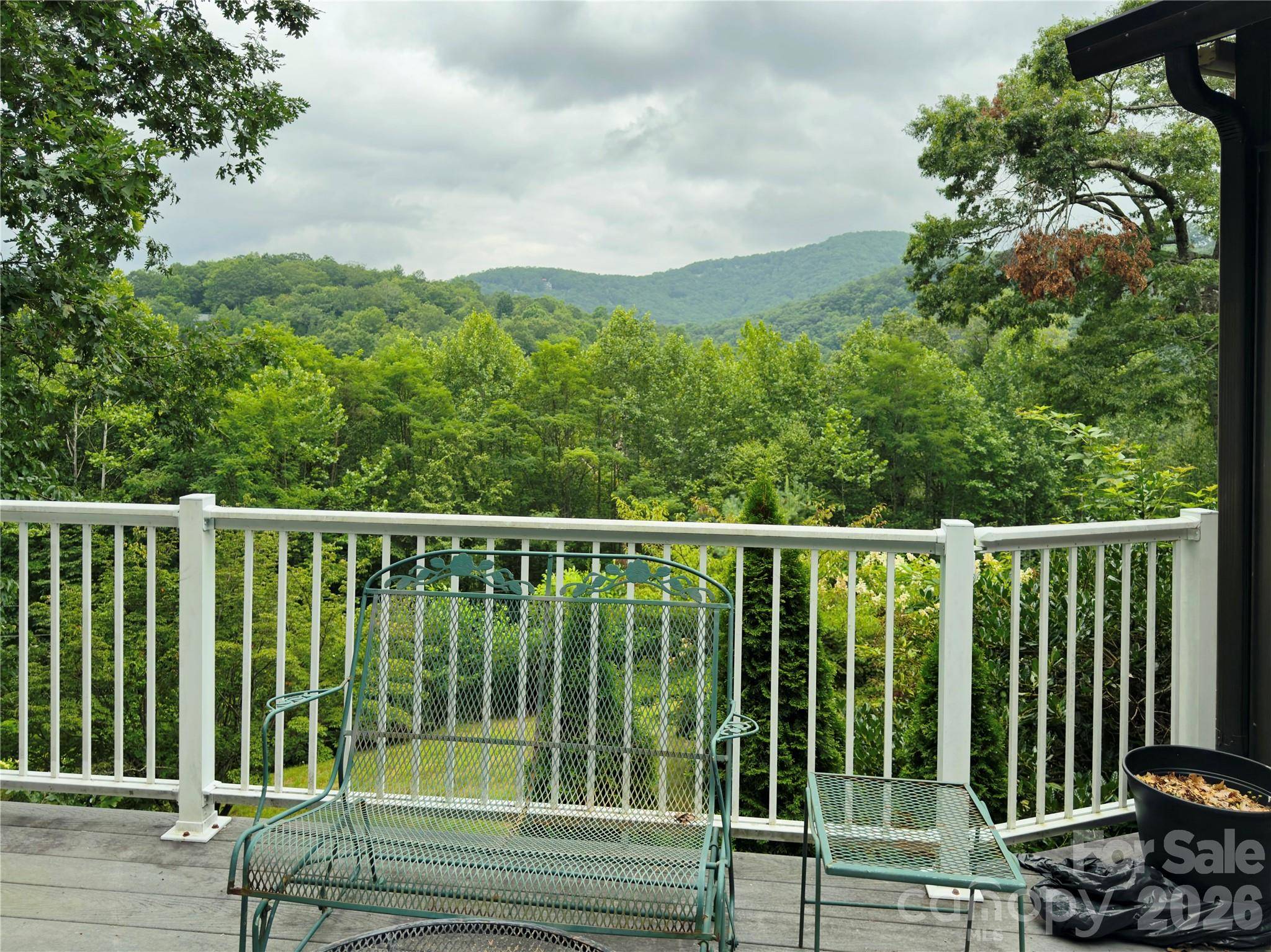 40 Sanctuary DR, Burnsville, NC 28714