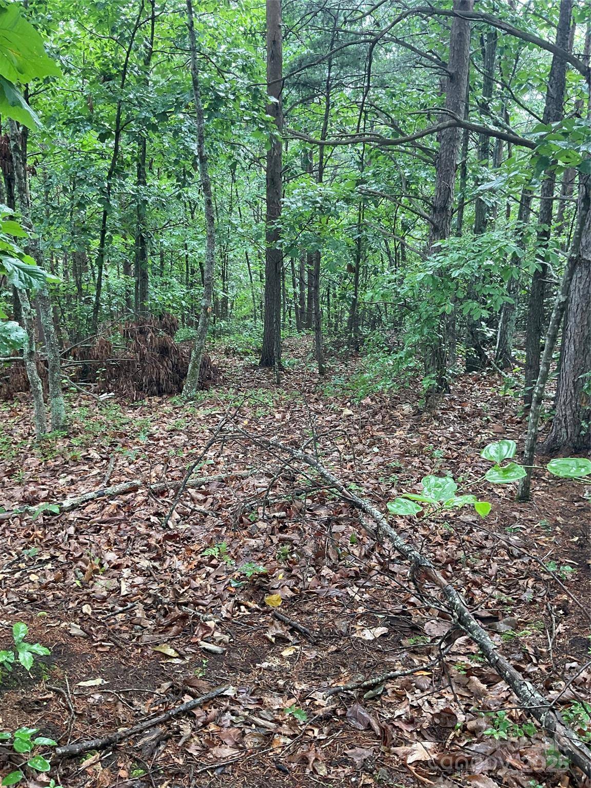 0 Pineknoll DR, Hickory, NC 28602