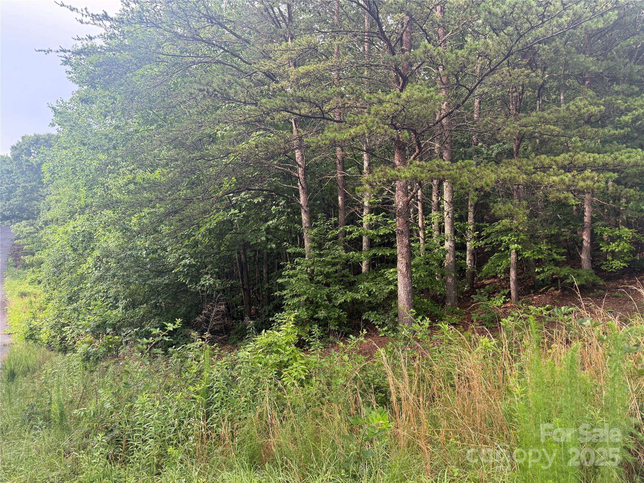 0 Pineknoll DR, Hickory, NC 28602