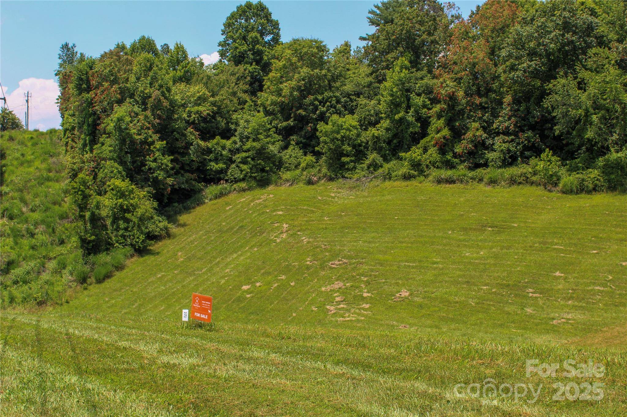 9999 Settlers TRL #39, Mars Hill, NC 28754