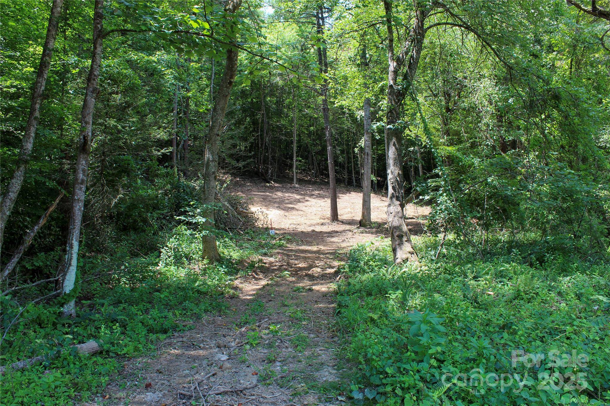 9999 Gabriels Creek RD #42, Mars Hill, NC 28754