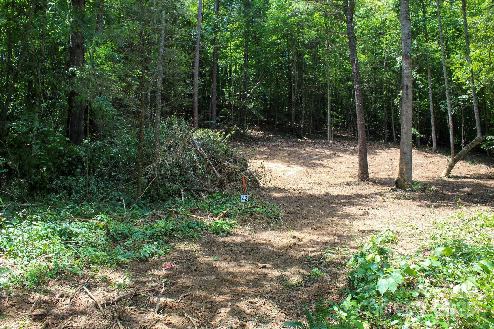 9999 Gabriels Creek RD #42, Mars Hill, NC 28754