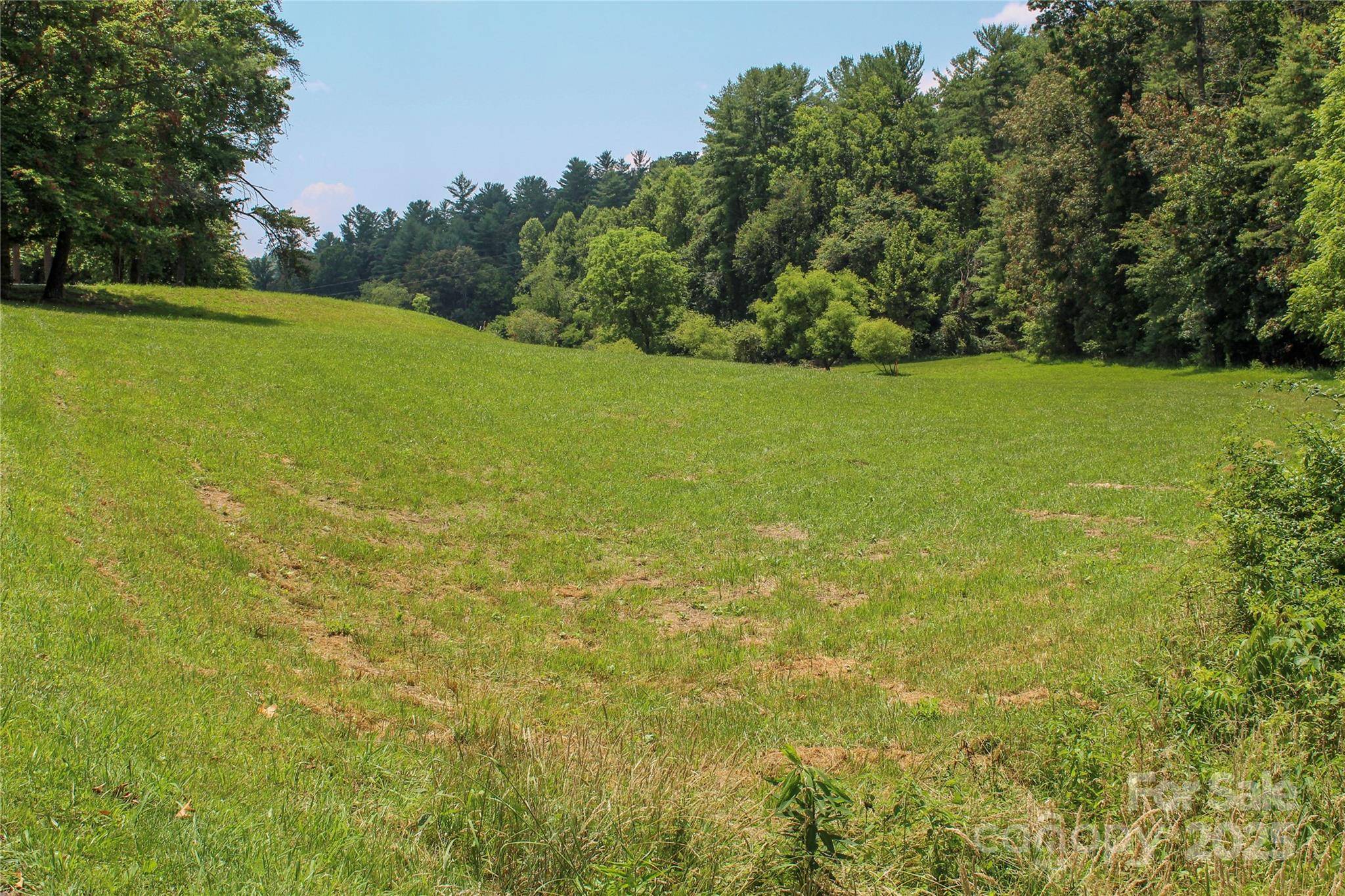 9999 Settlers TRL #44, Mars Hill, NC 28754