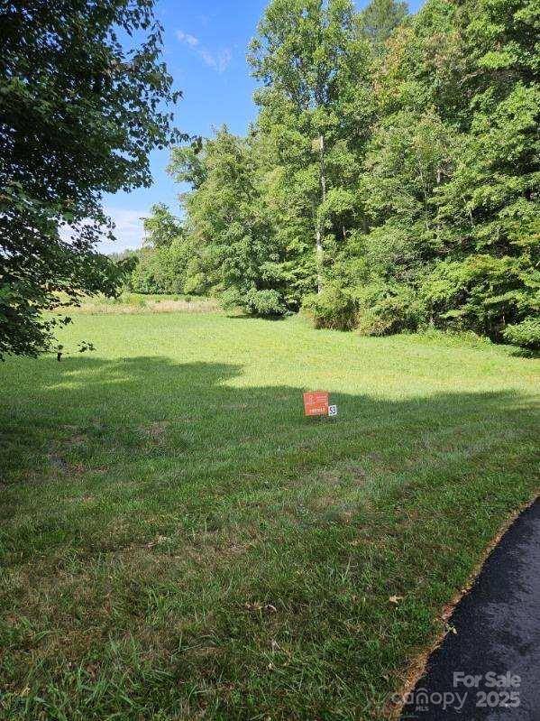 9999 Settlers TRL #53, Mars Hill, NC 28754