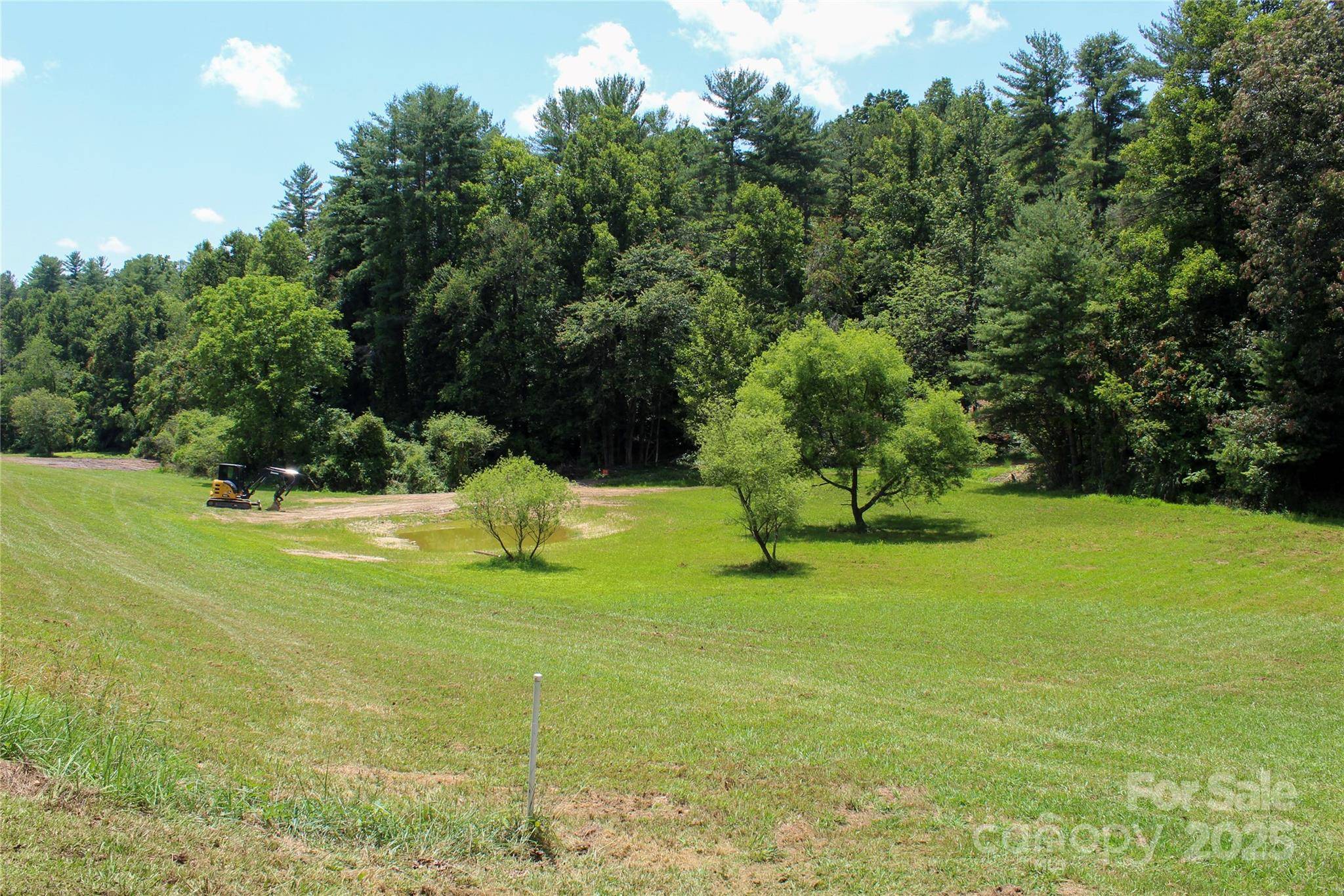 9999 Settlers TRL #45, Mars Hill, NC 28754